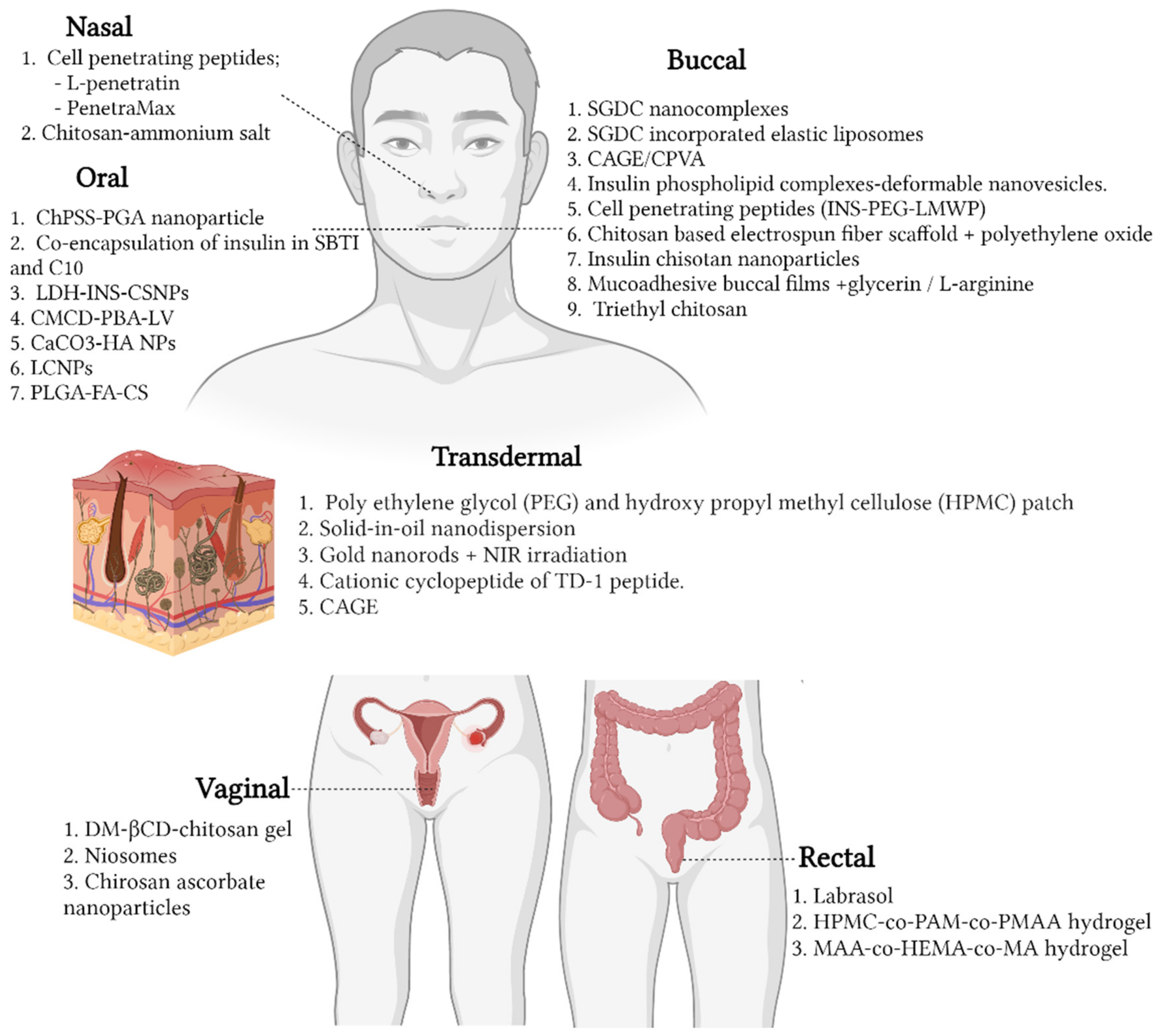 Pharmaceutics 14 01406 g002