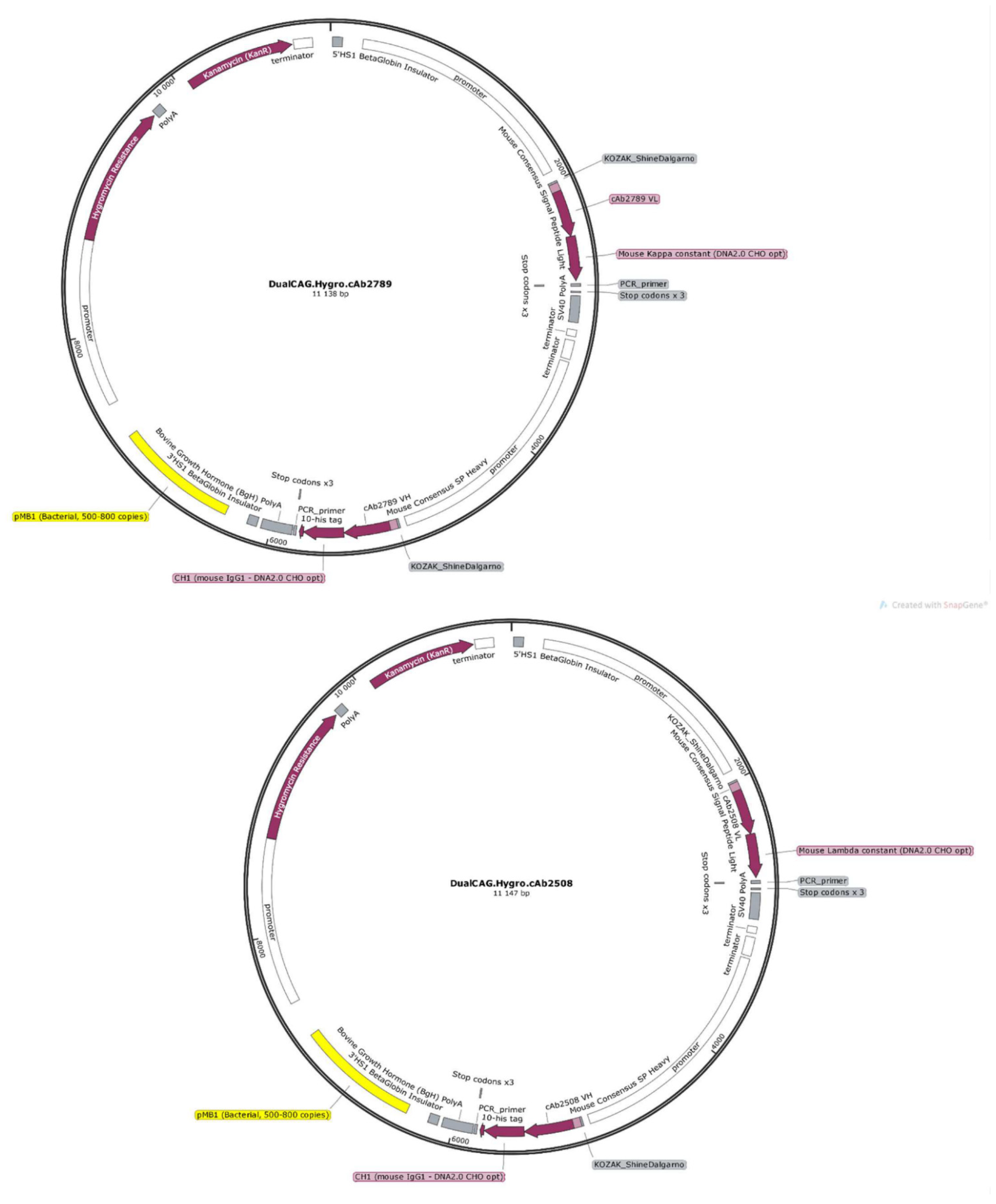 Pharmaceutics 14 01418 g003