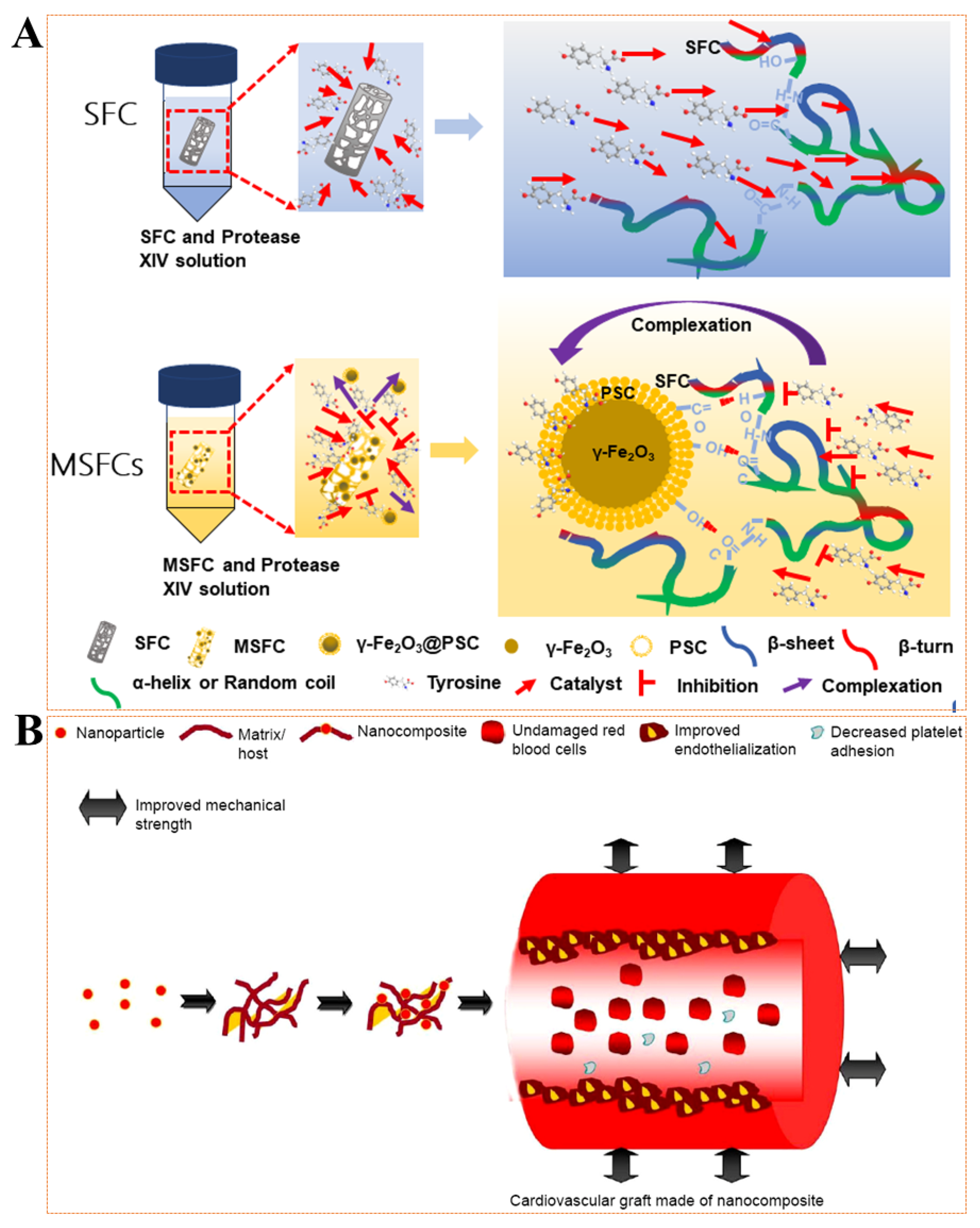 Pharmaceutics 14 01433 g003 Pharmaceutics 14 01433 g003