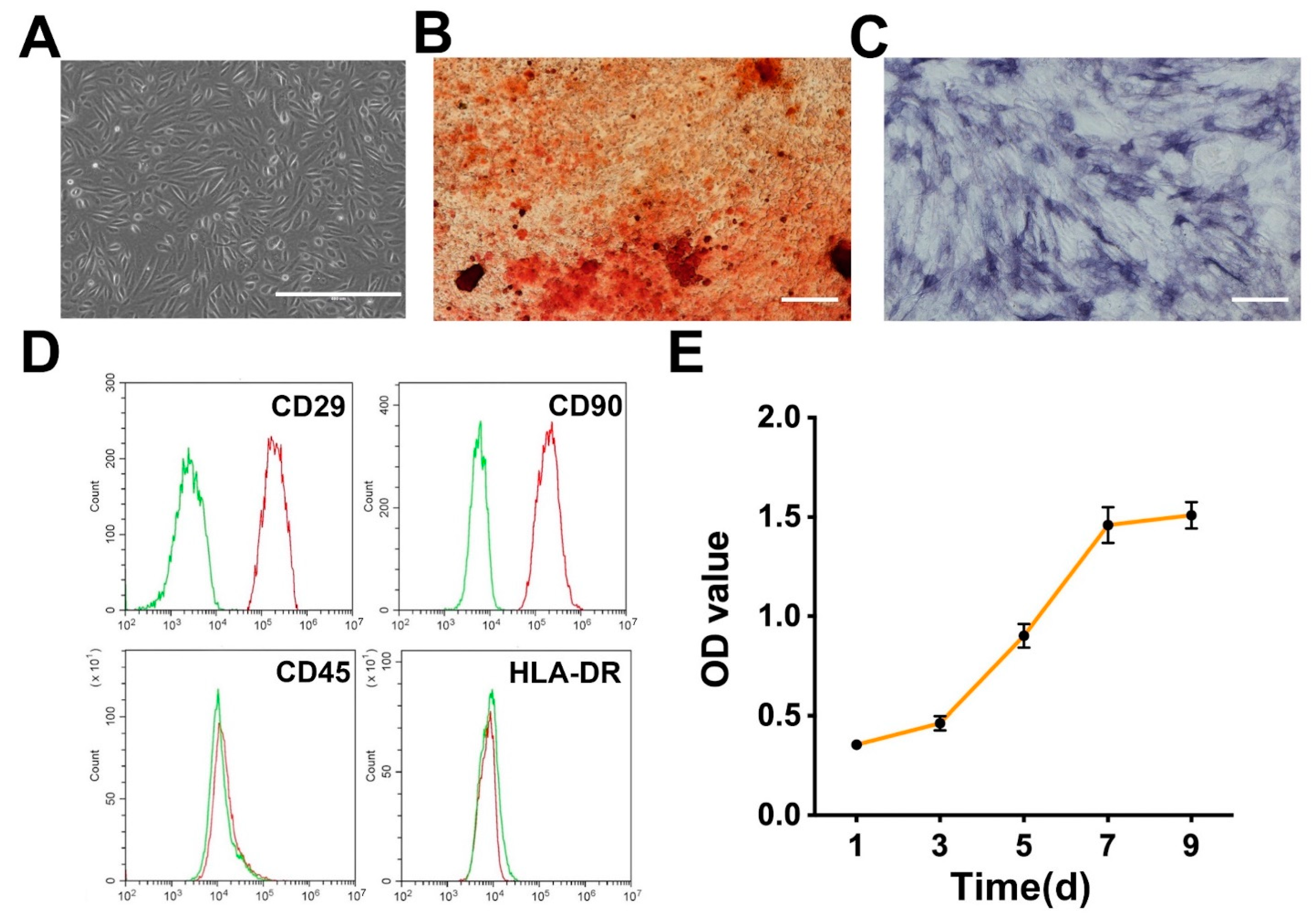 Pharmaceutics 14 01437 g003