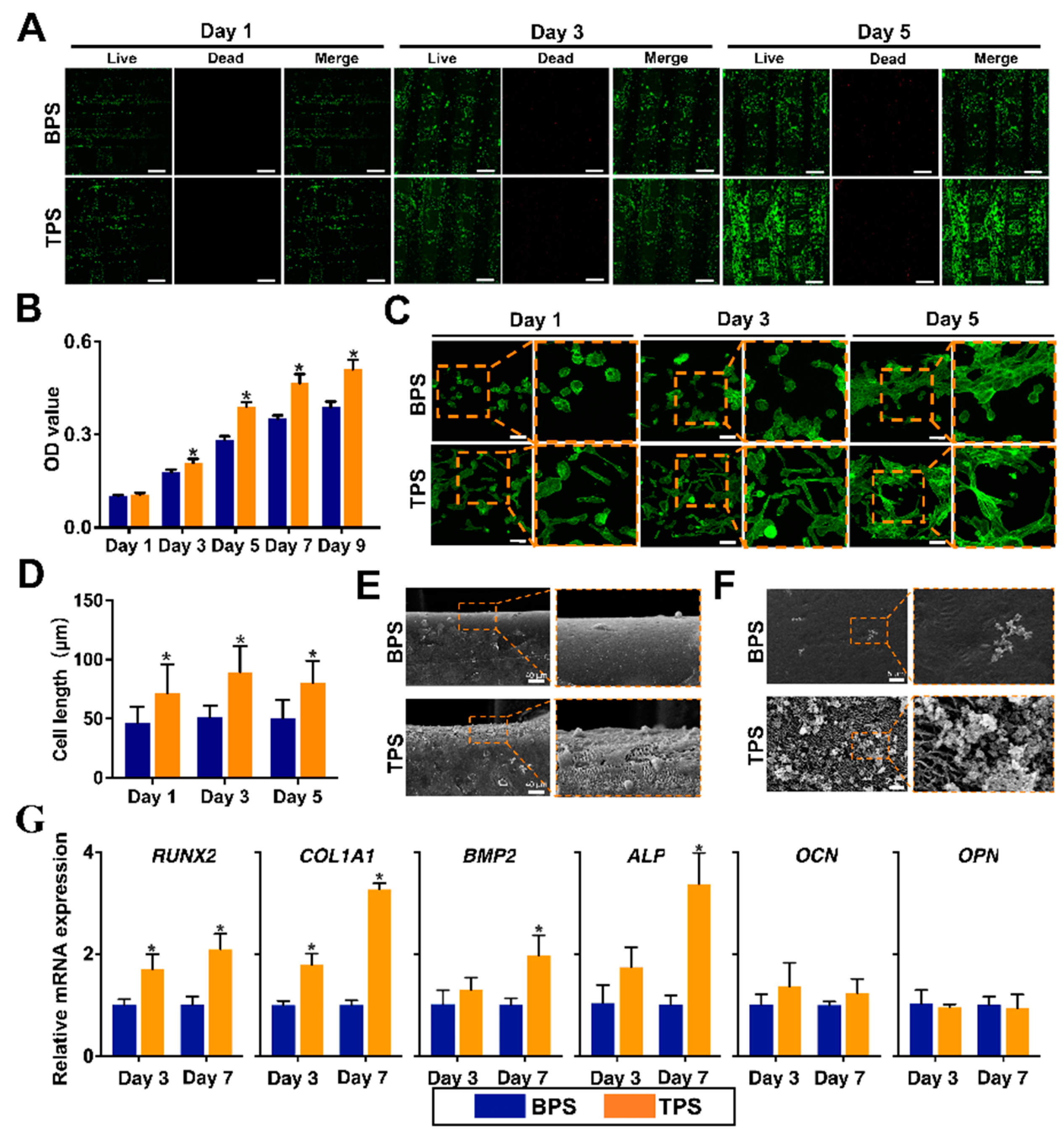 Pharmaceutics 14 01437 g004