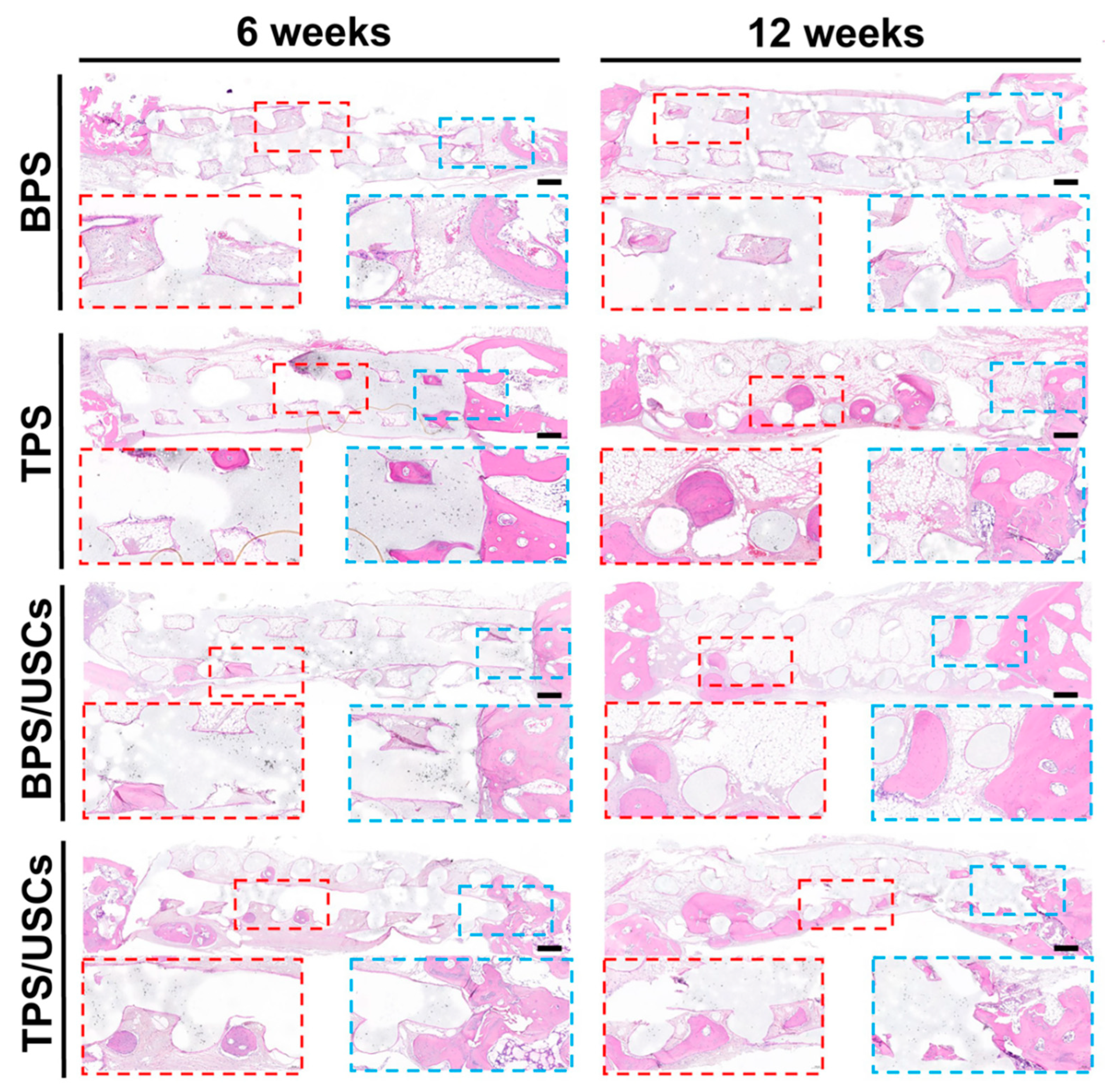Pharmaceutics 14 01437 g006