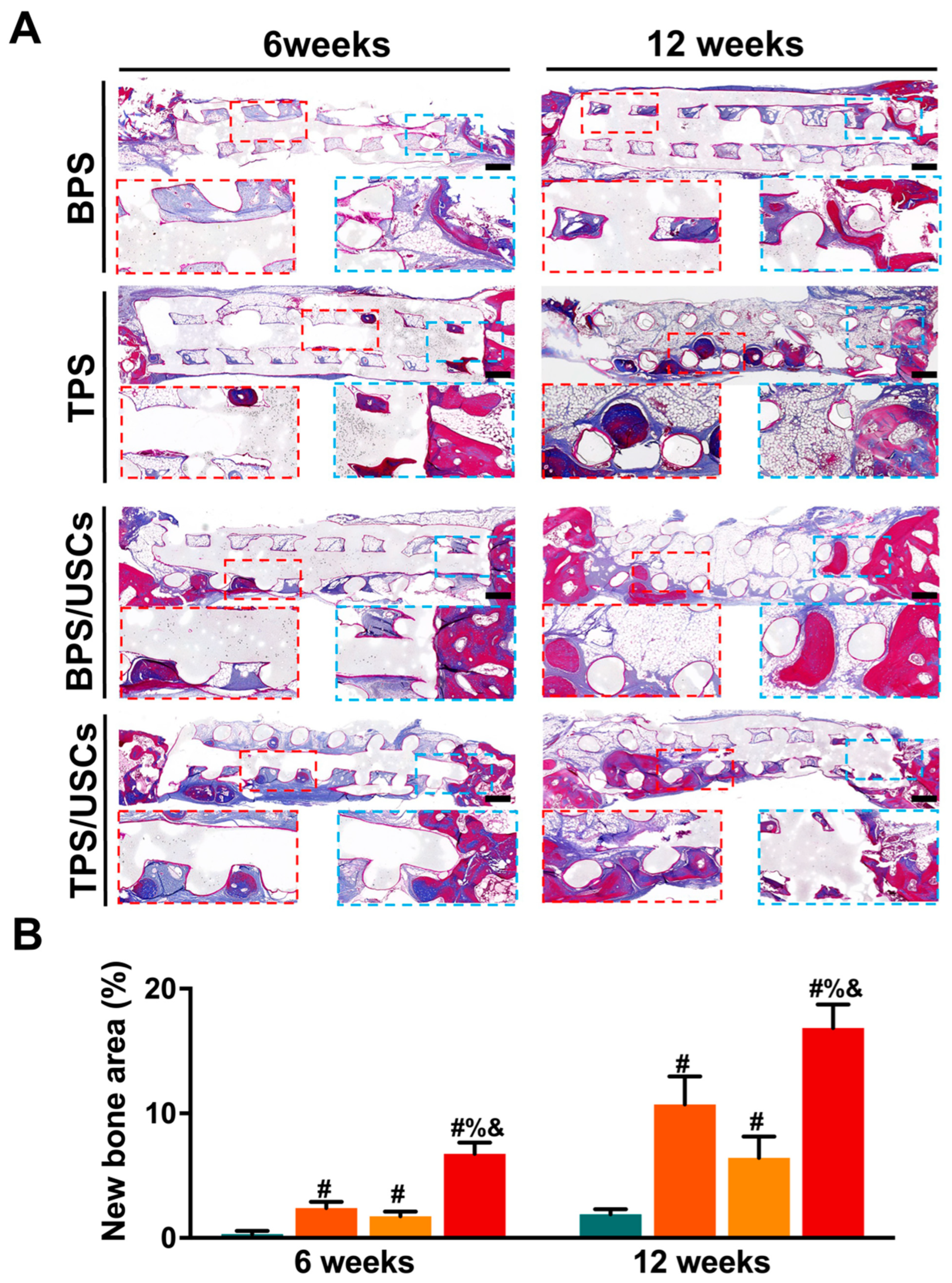 Pharmaceutics 14 01437 g008