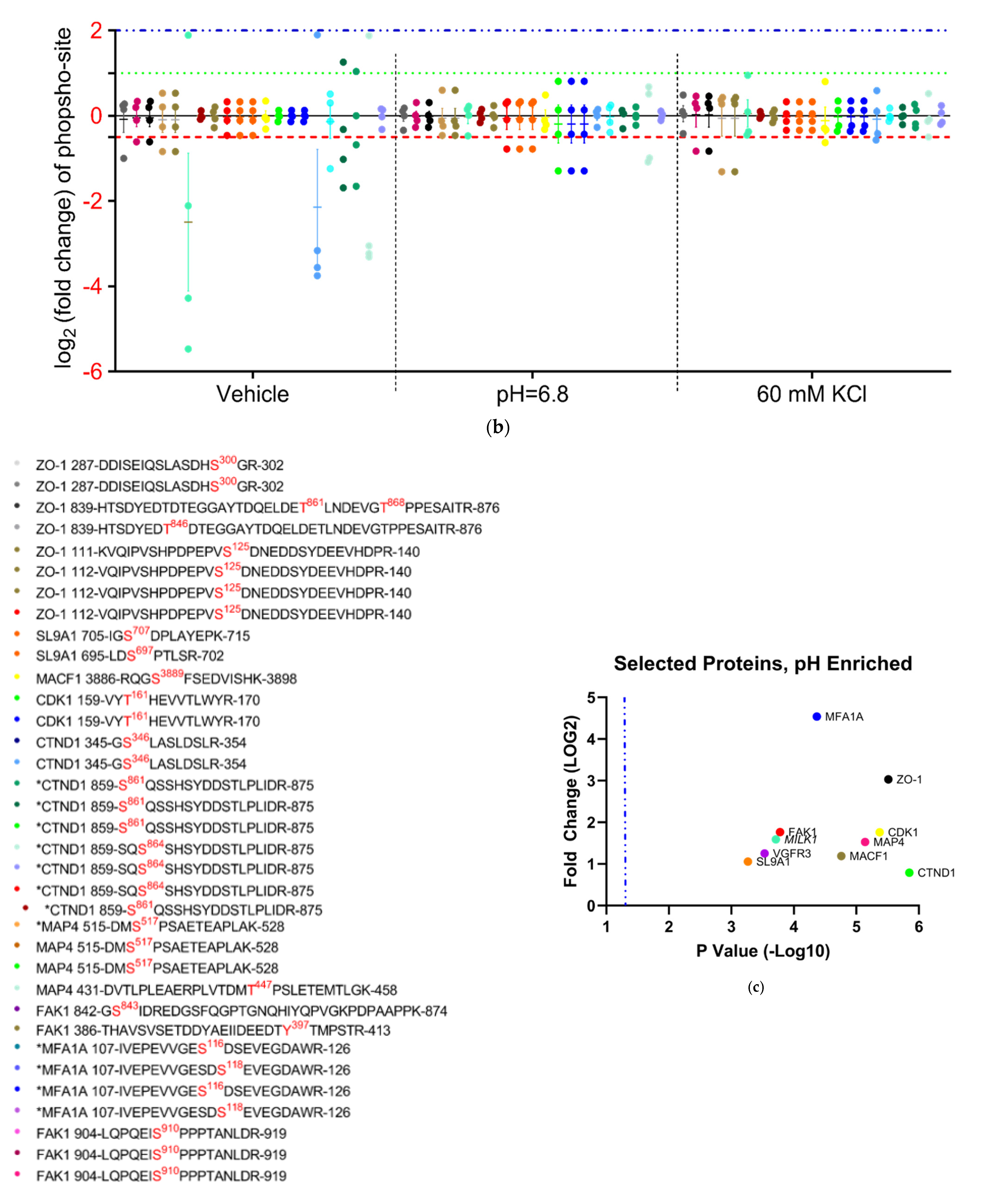 Pharmaceutics 14 01469 g008b Pharmaceutics 14 01469 g008b