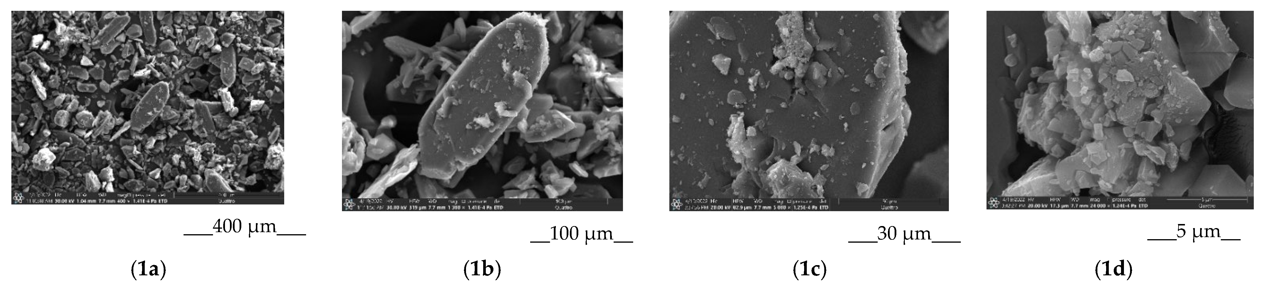 Pharmaceutics 14 01472 g007a