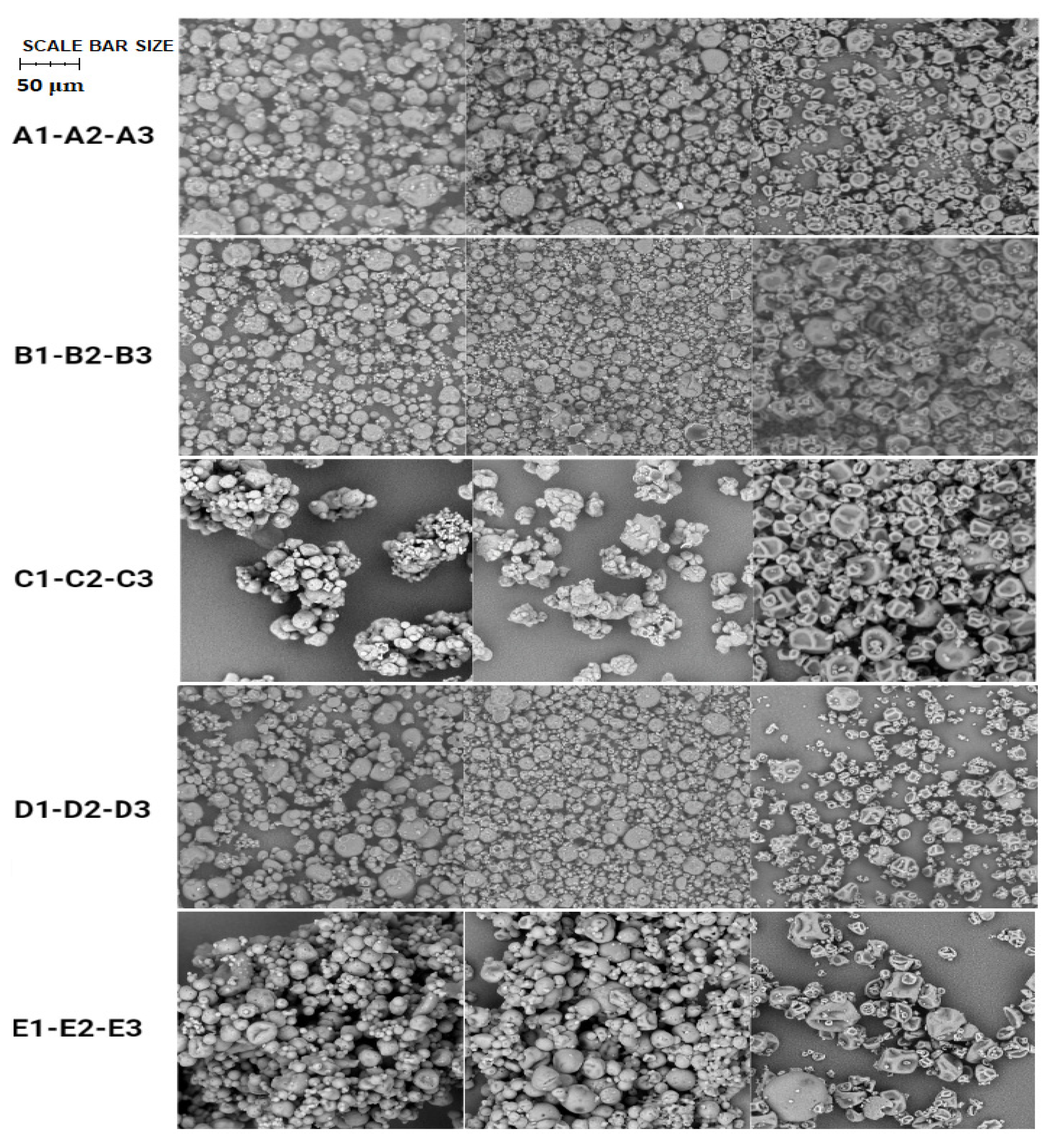 Pharmaceutics 14 01480 g003