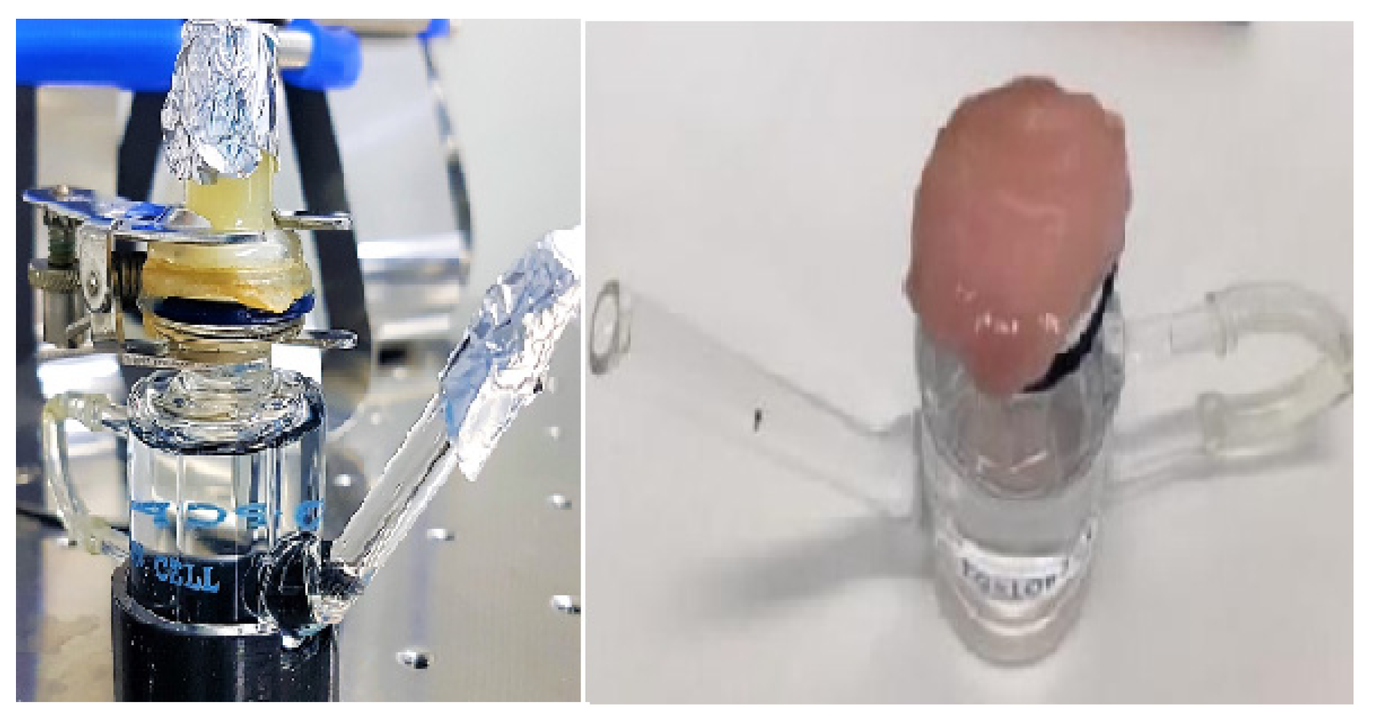 Pharmaceutics 14 01480 g006