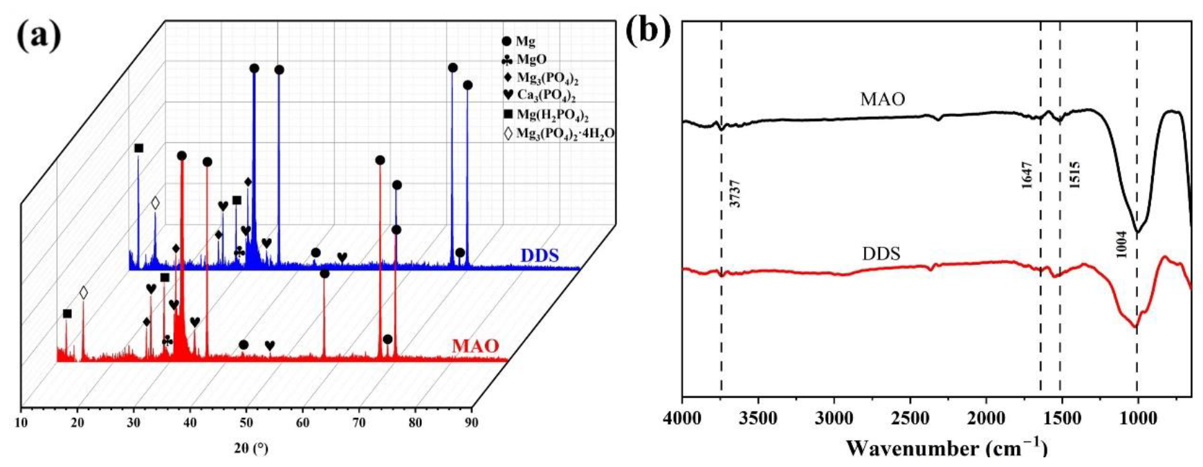 Pharmaceutics 14 01481 g002