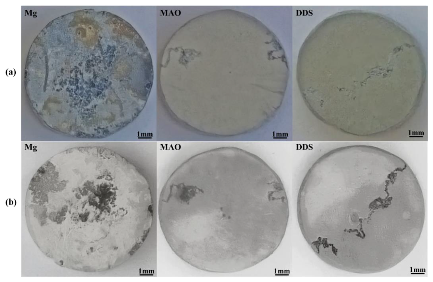 Pharmaceutics 14 01481 g004