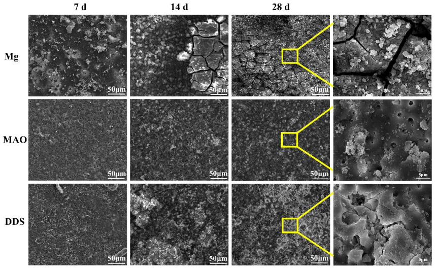 Pharmaceutics 14 01481 g005