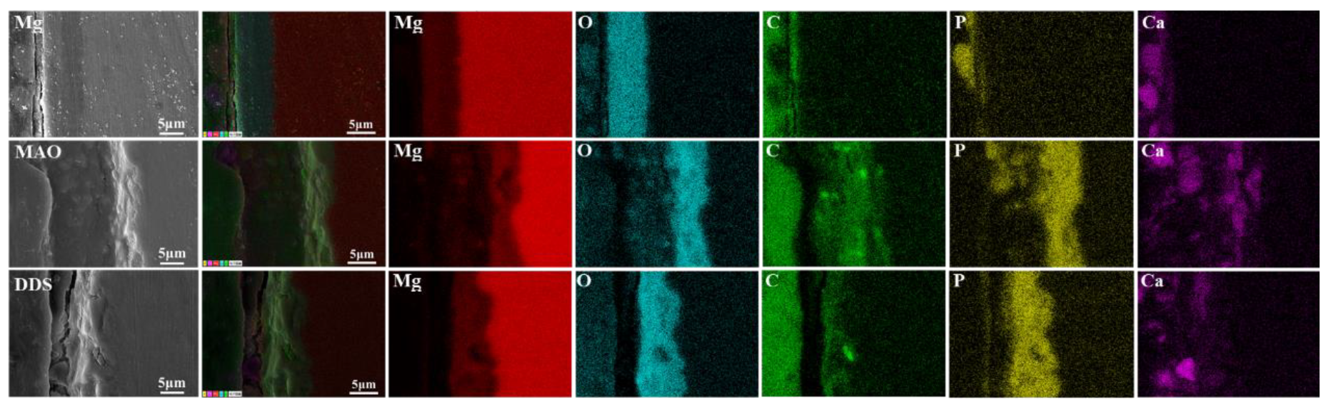 Pharmaceutics 14 01481 g006