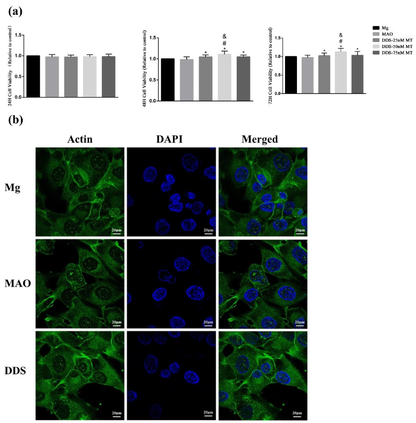 Pharmaceutics 14 01481 g009