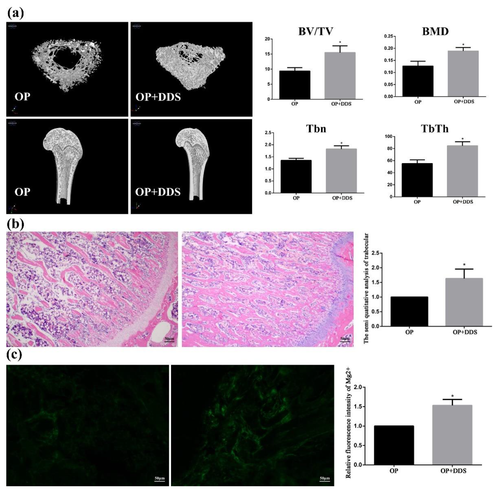 Pharmaceutics 14 01481 g011