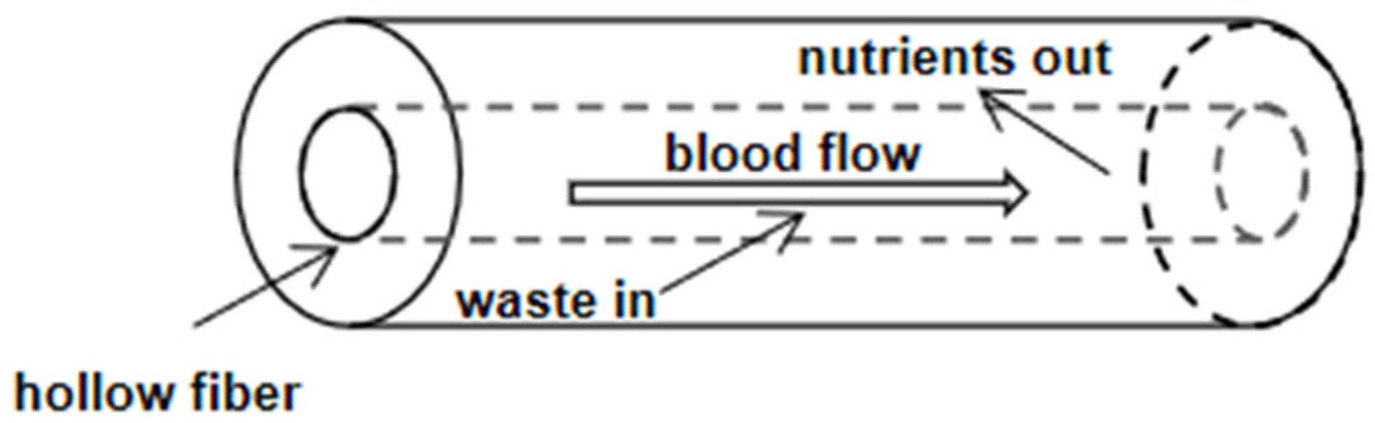 Pharmaceutics 14 01485 g003 Pharmaceutics 14 01485 g003