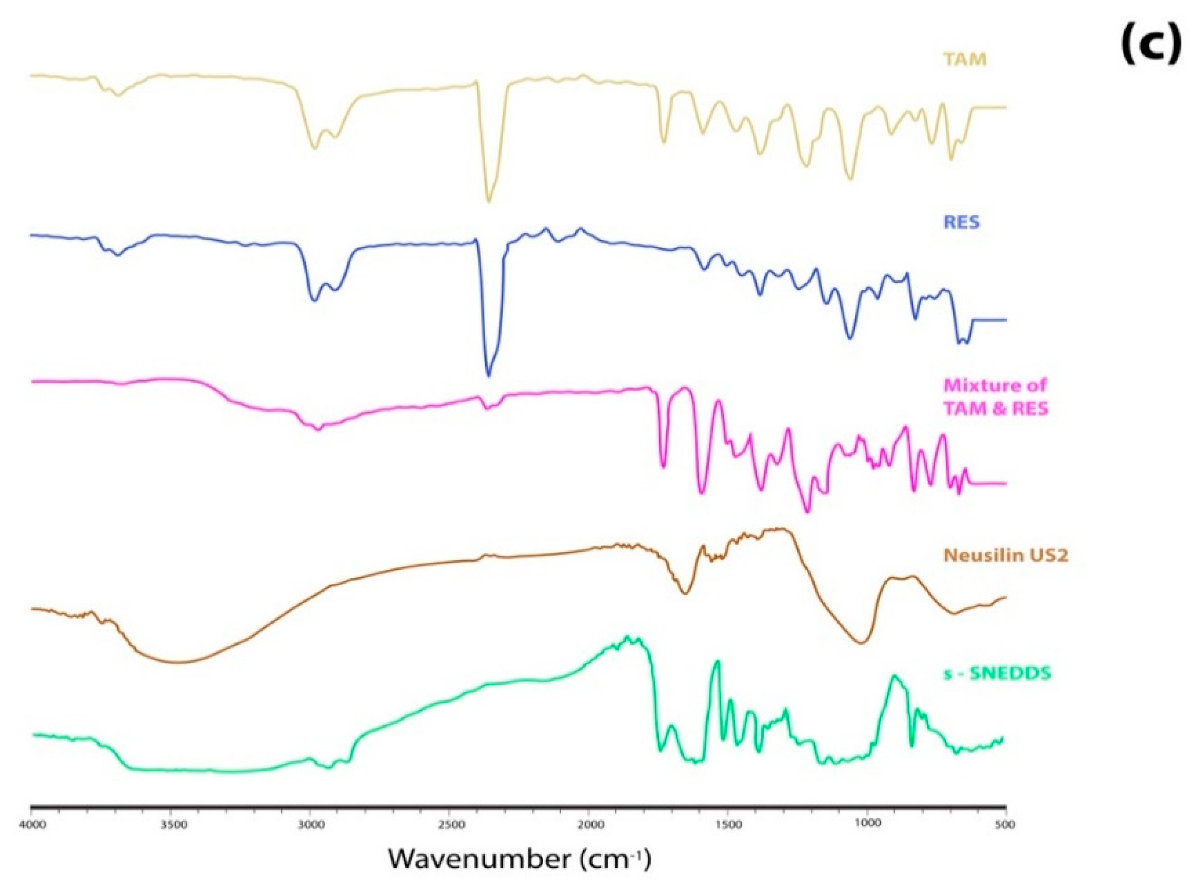 Pharmaceutics 14 01486 g006b