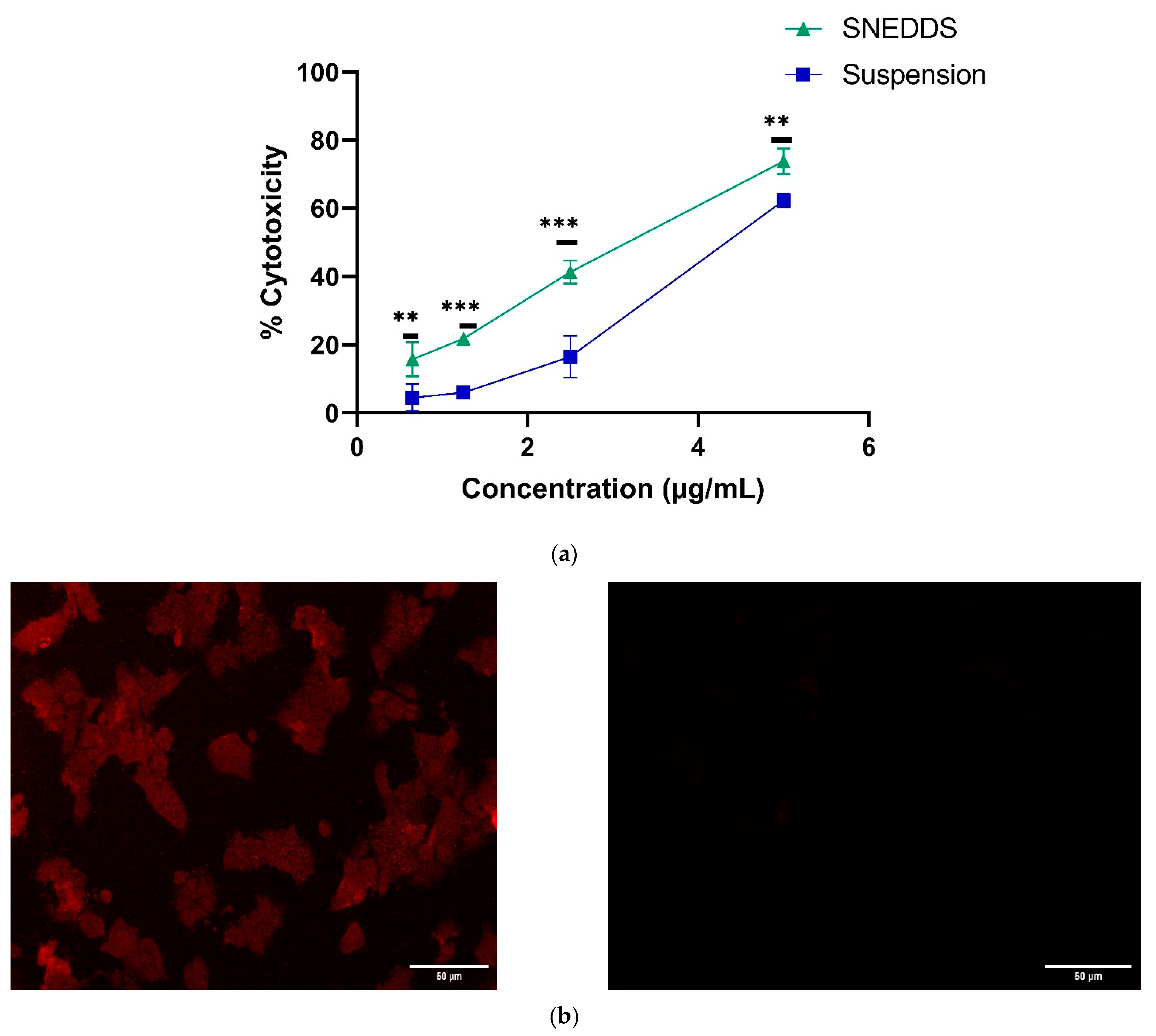 Pharmaceutics 14 01486 g009a