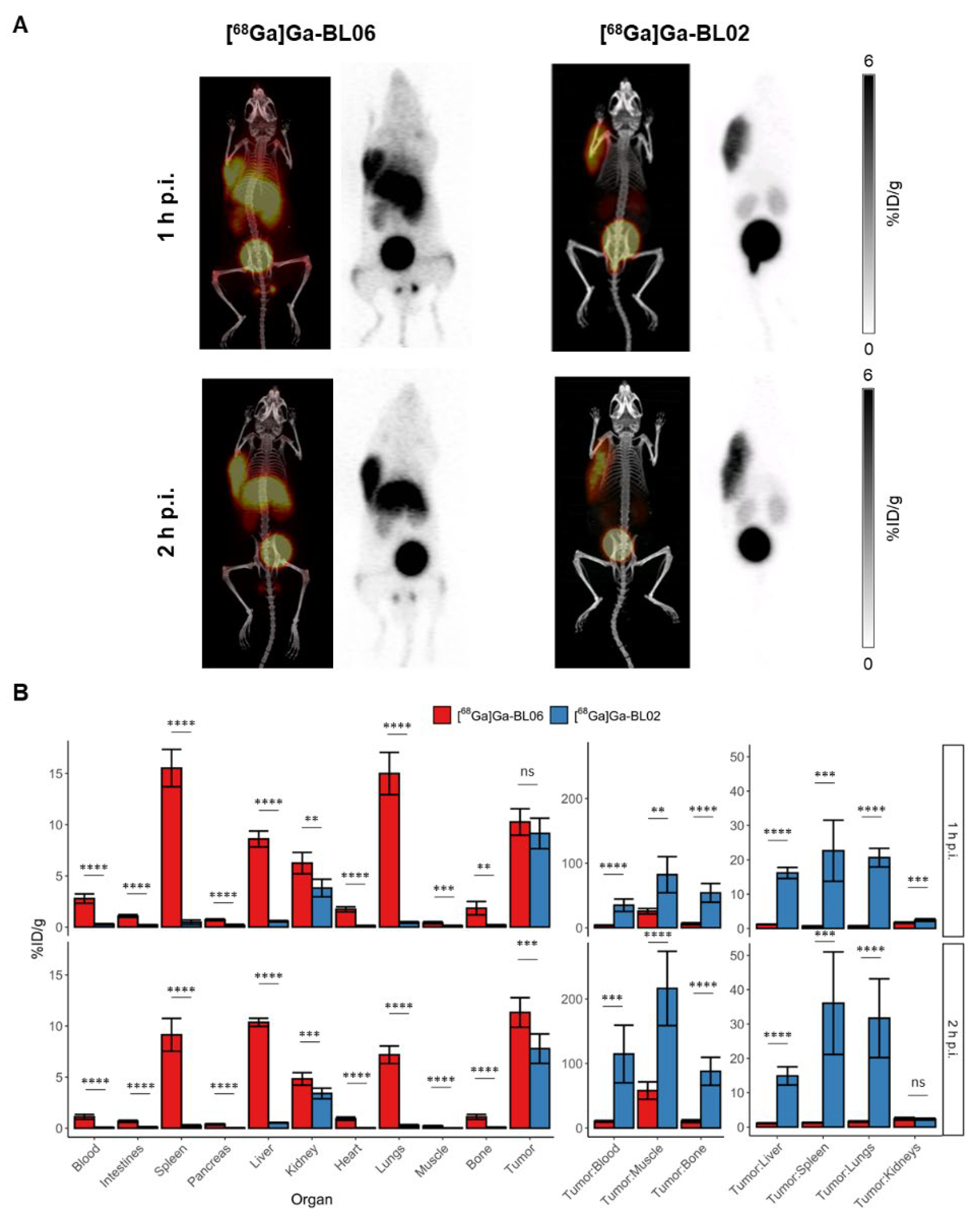 Pharmaceutics 14 01502 g002