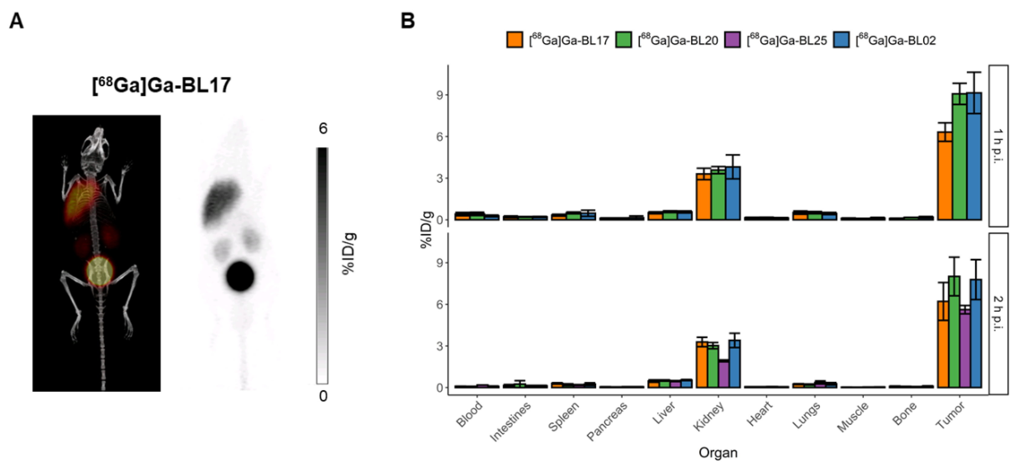 Pharmaceutics 14 01502 g003