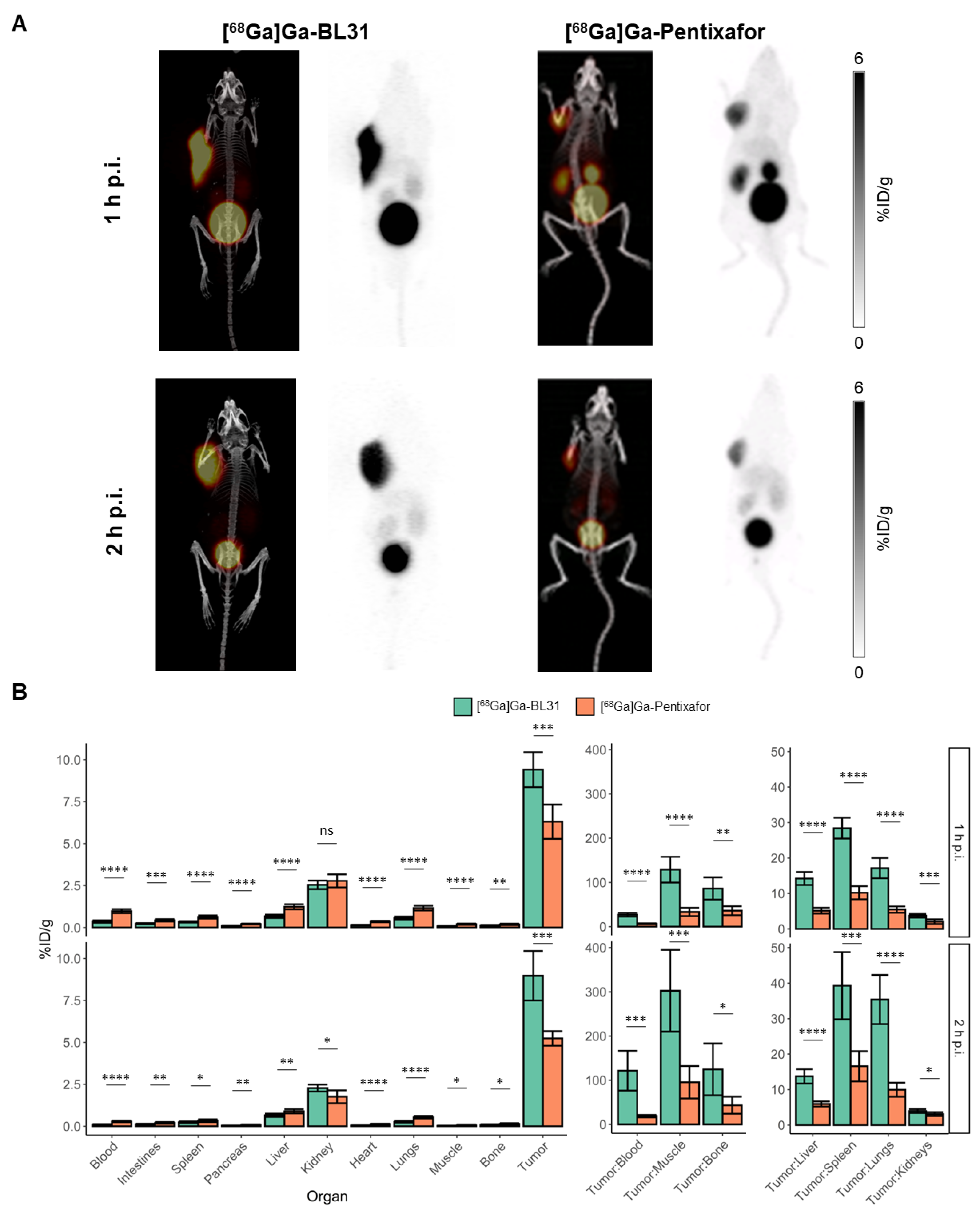 Pharmaceutics 14 01502 g005