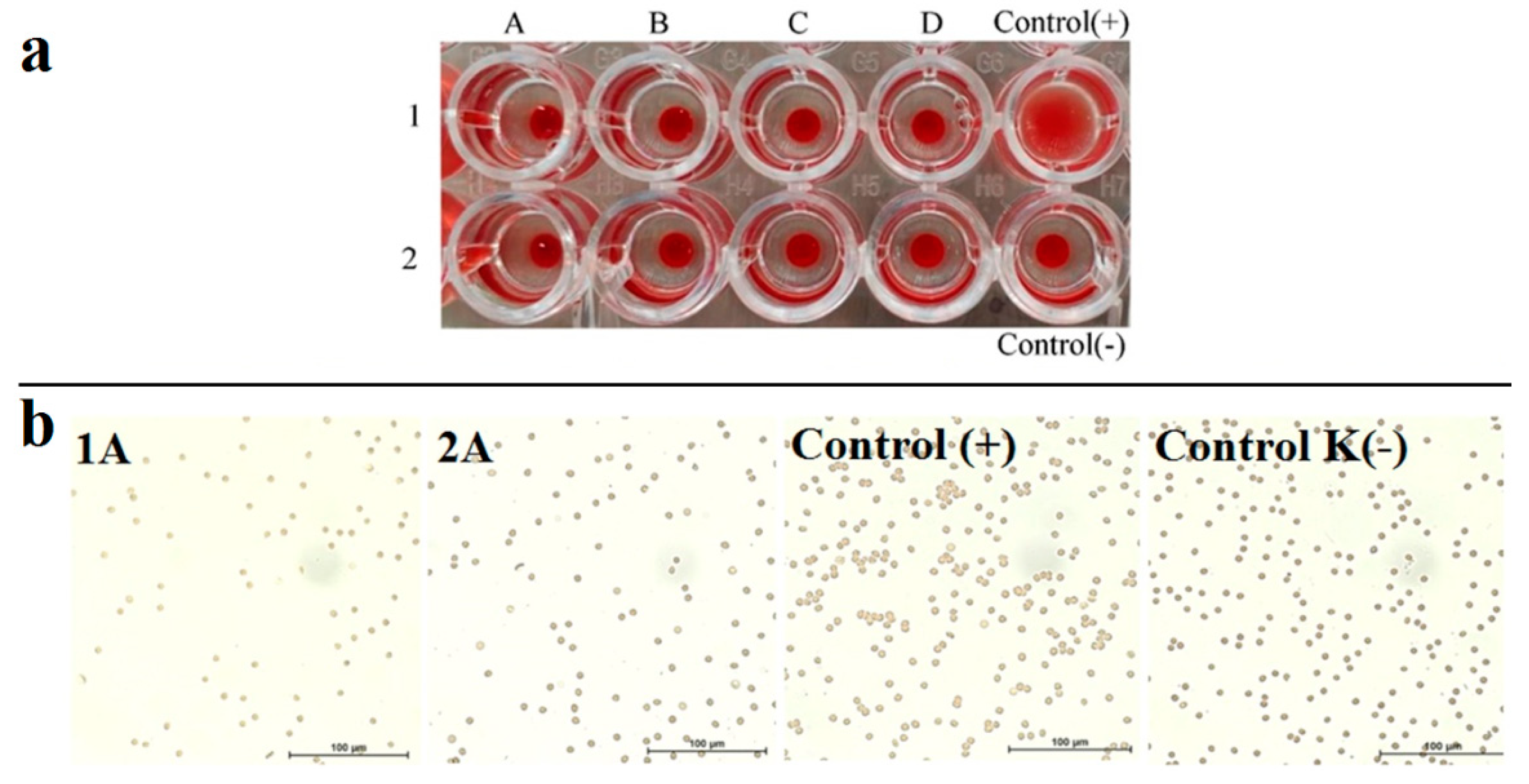Pharmaceutics 14 01508 g008