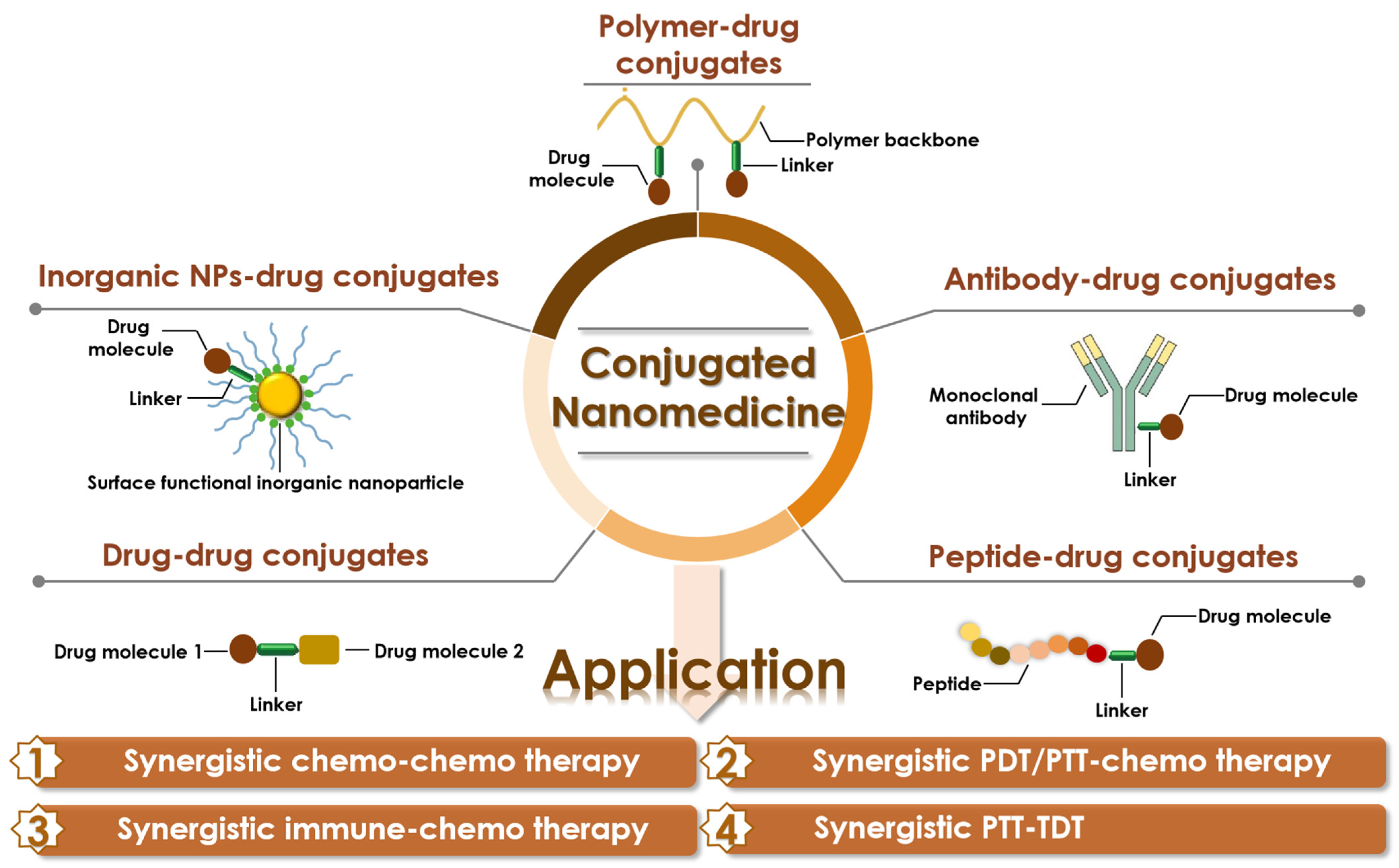 Pharmaceutics 14 01522 g002