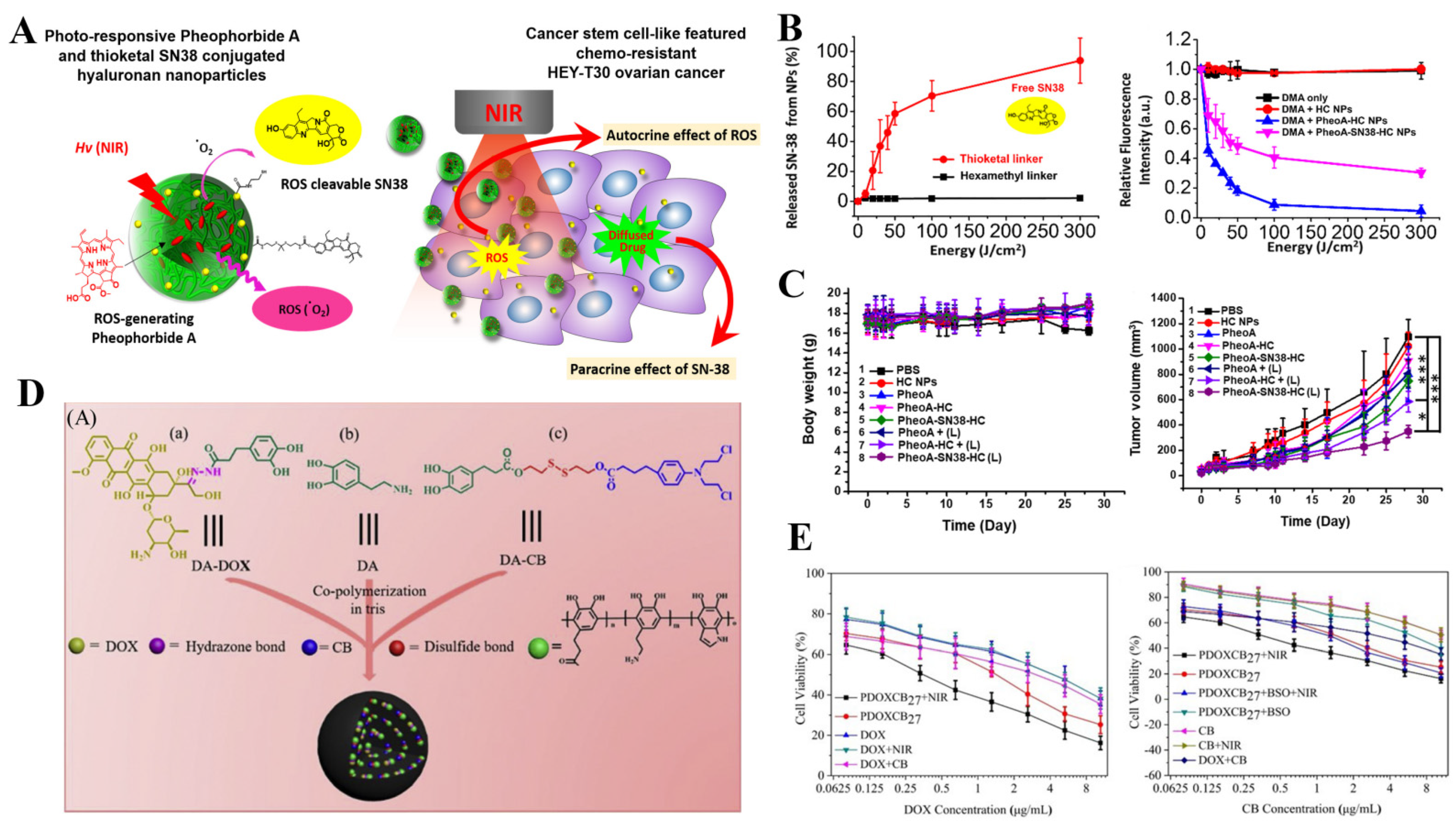 Pharmaceutics 14 01522 g007