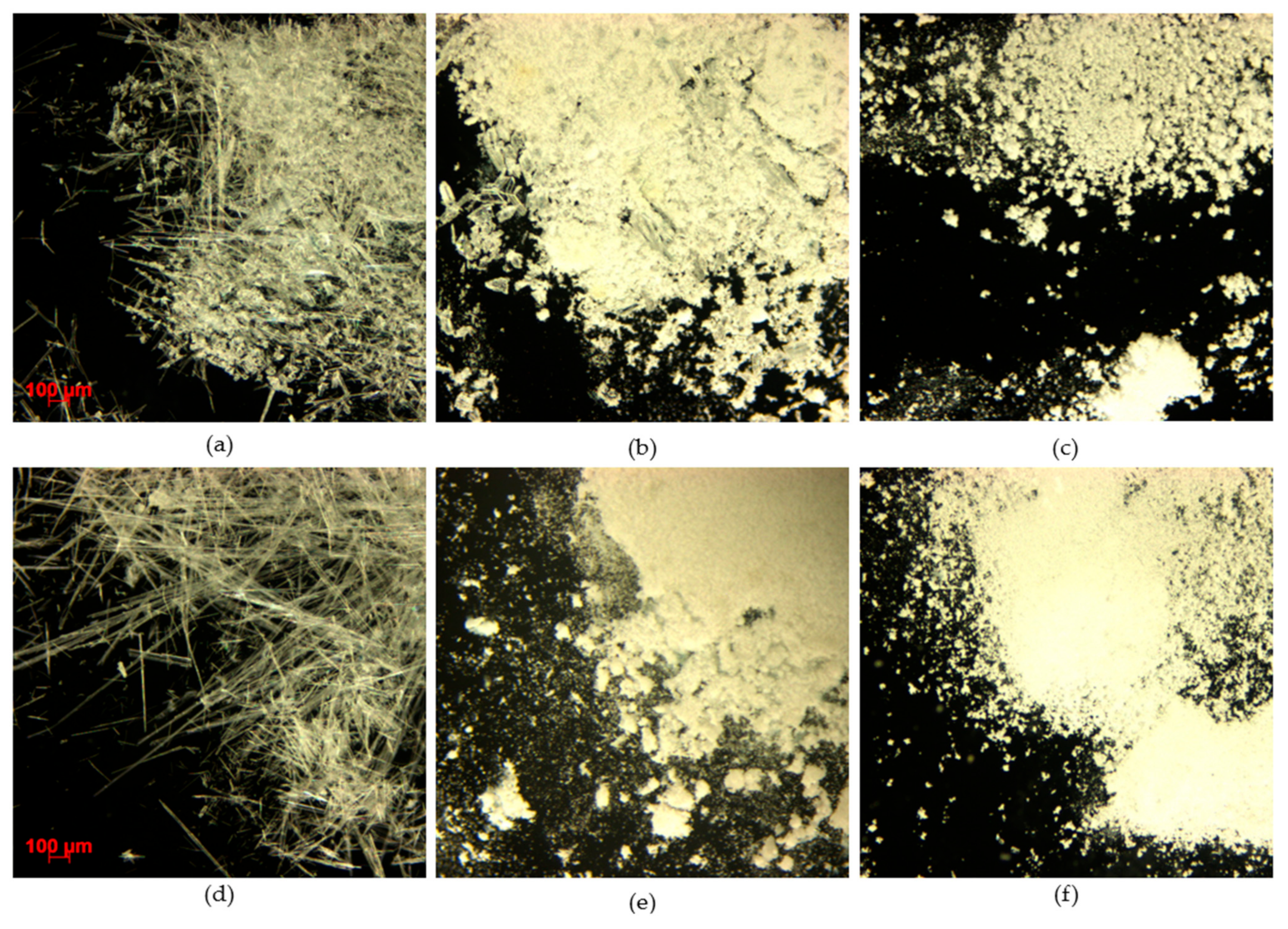 Pharmaceutics 14 01549 g006