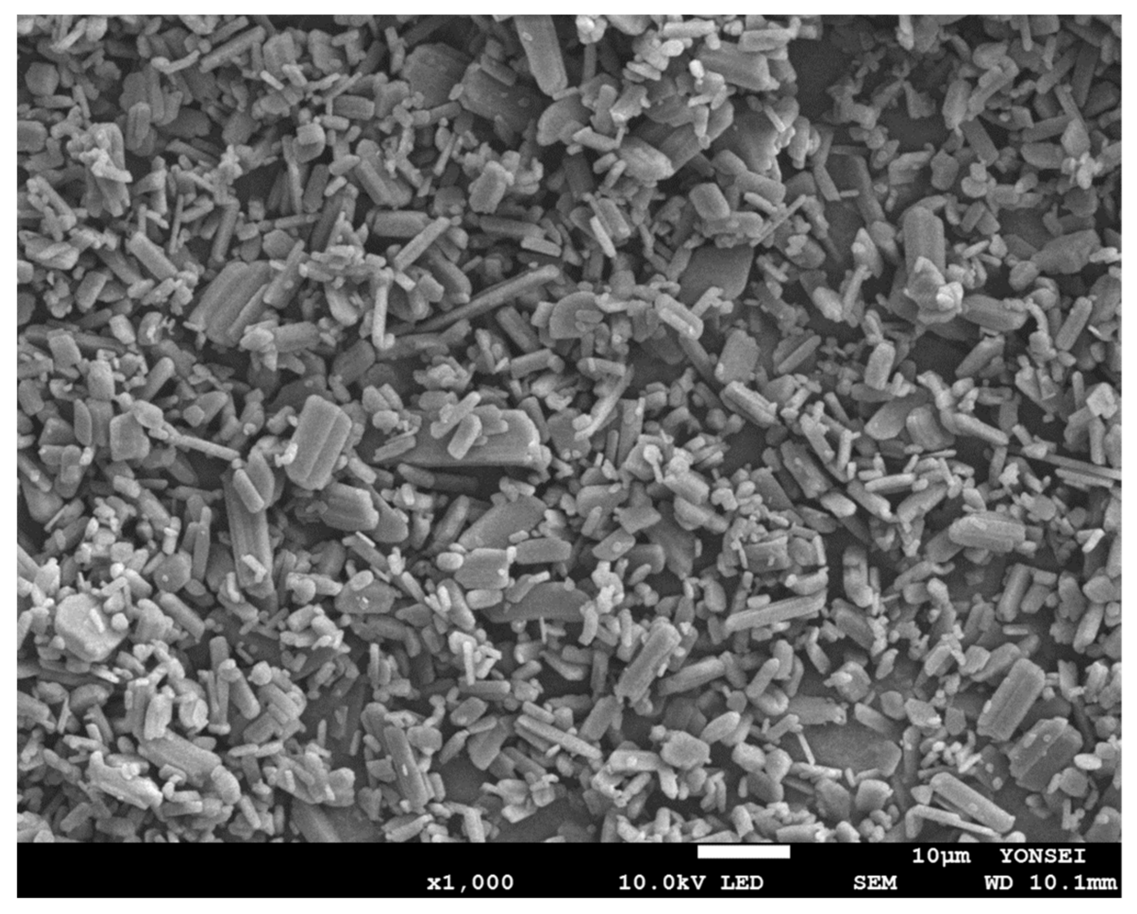 Pharmaceutics 14 01549 g007