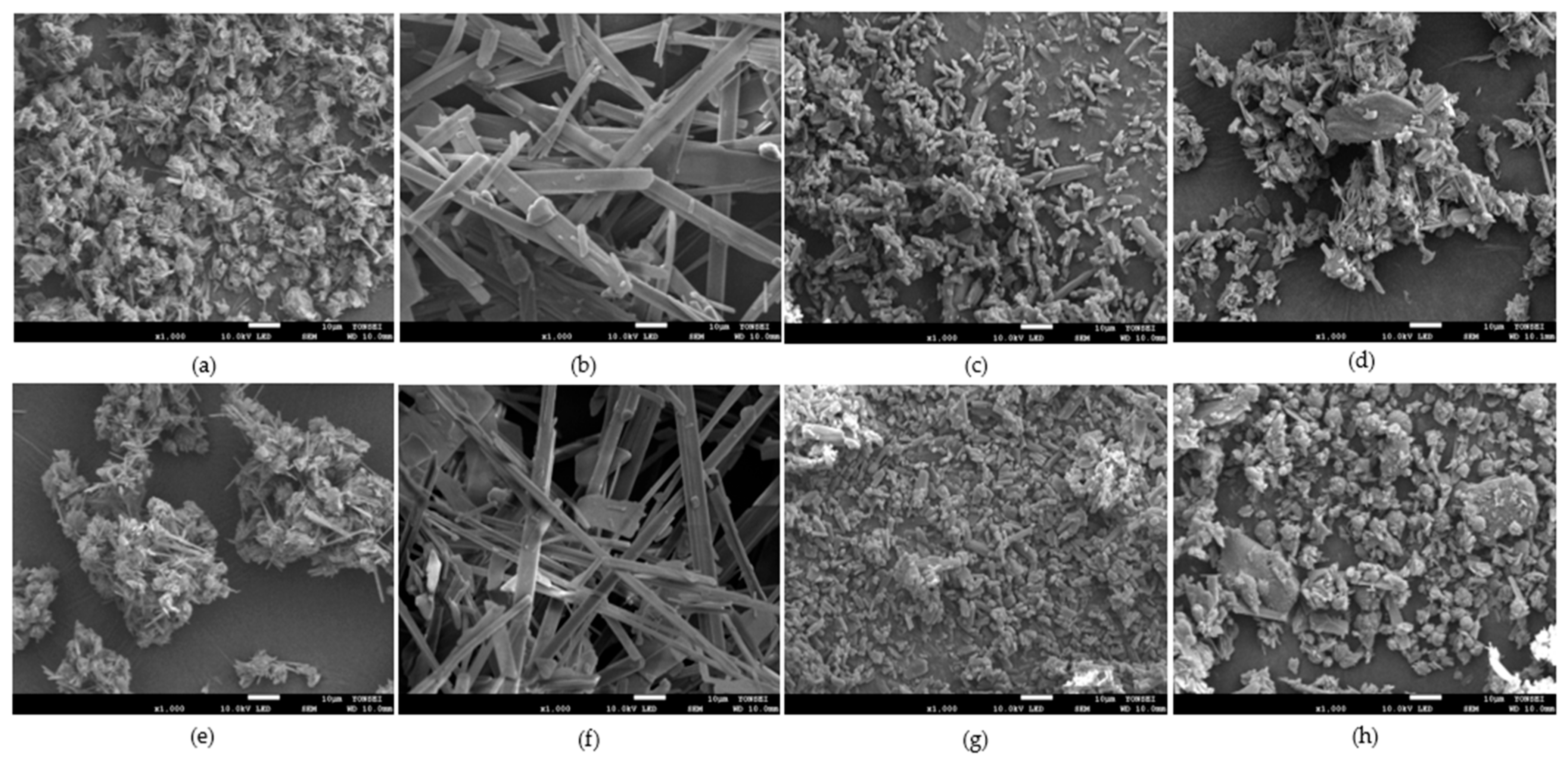 Pharmaceutics 14 01549 g008