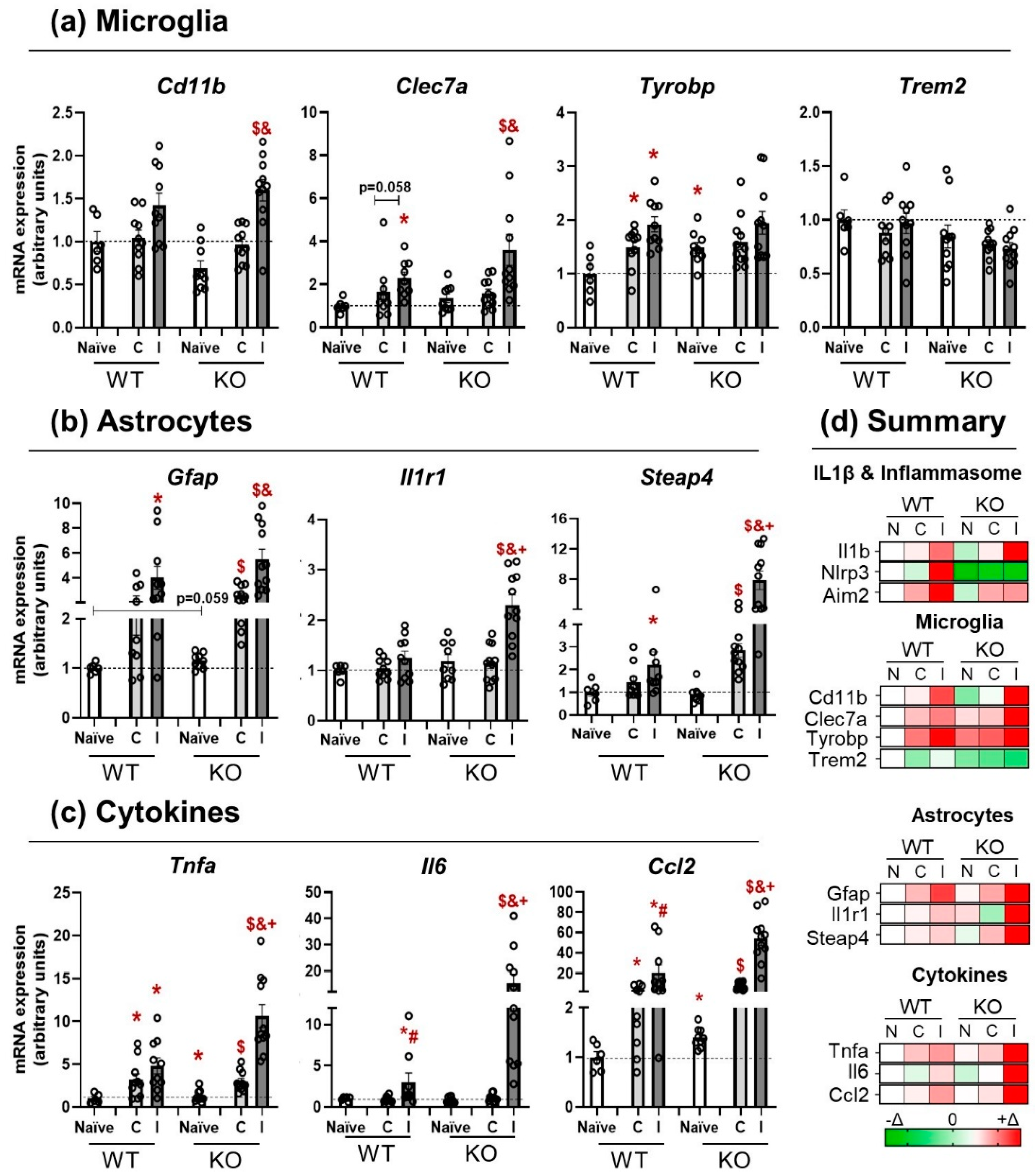 Pharmaceutics 14 01550 g003