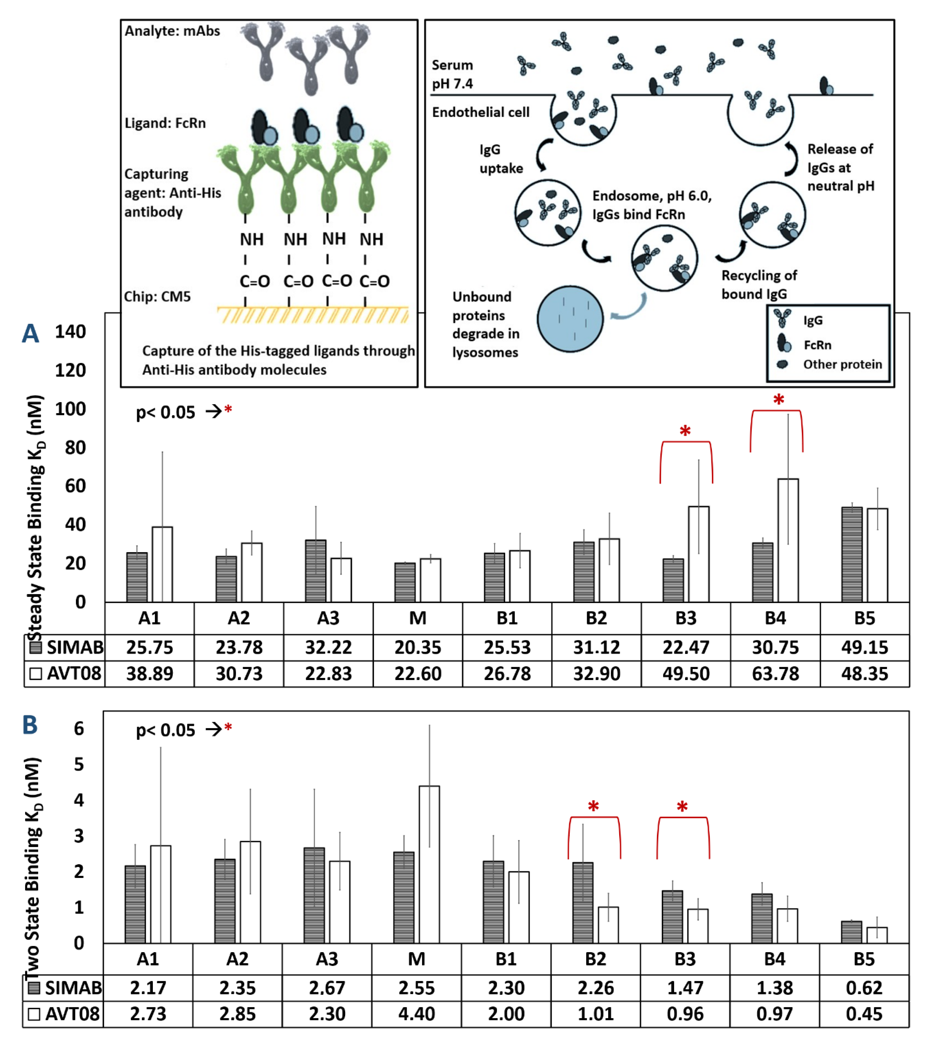 Pharmaceutics 14 01571 g007