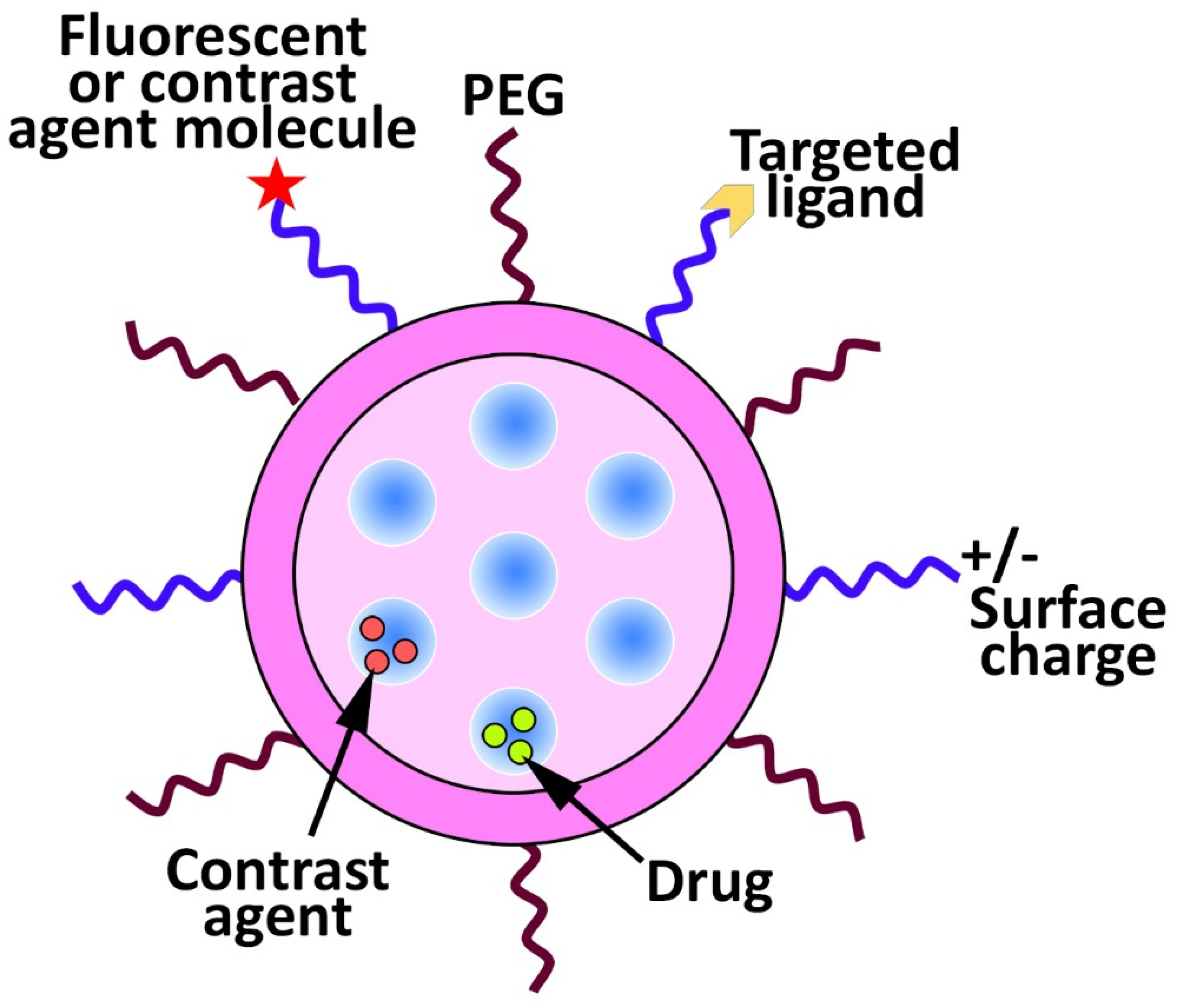 Pharmaceutics 14 01579 g001