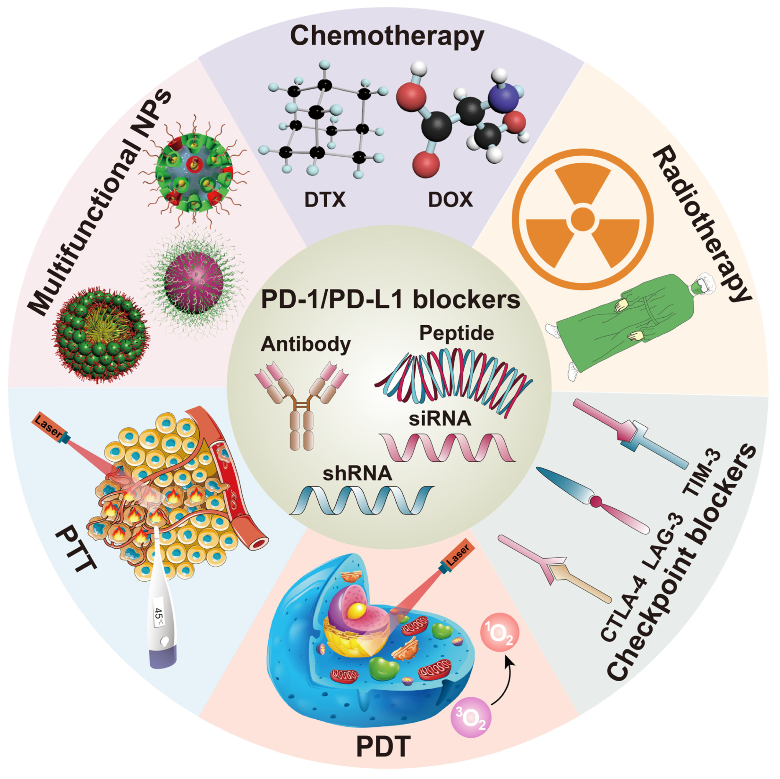 Pharmaceutics 14 01581 g002