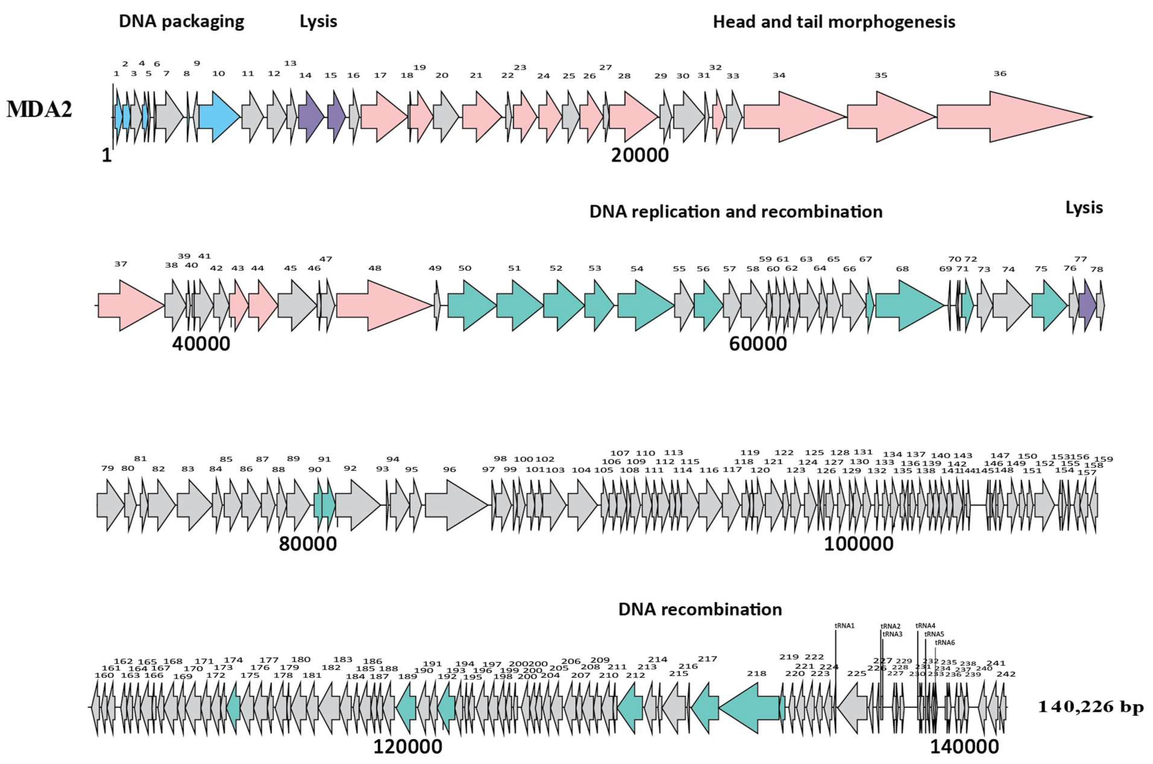Pharmaceutics 14 01591 g003