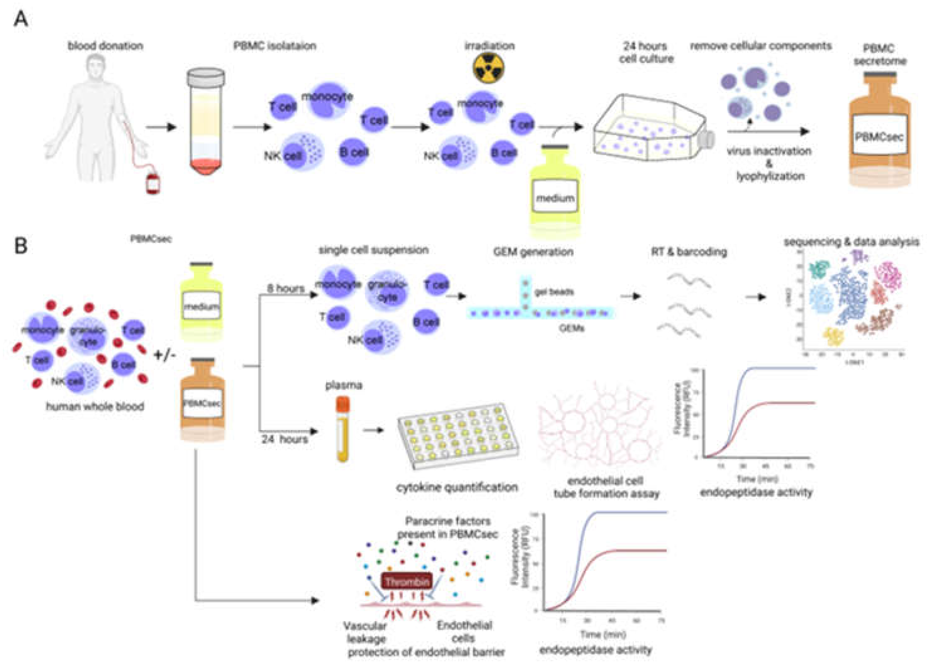 Pharmaceutics 14 01600 g001