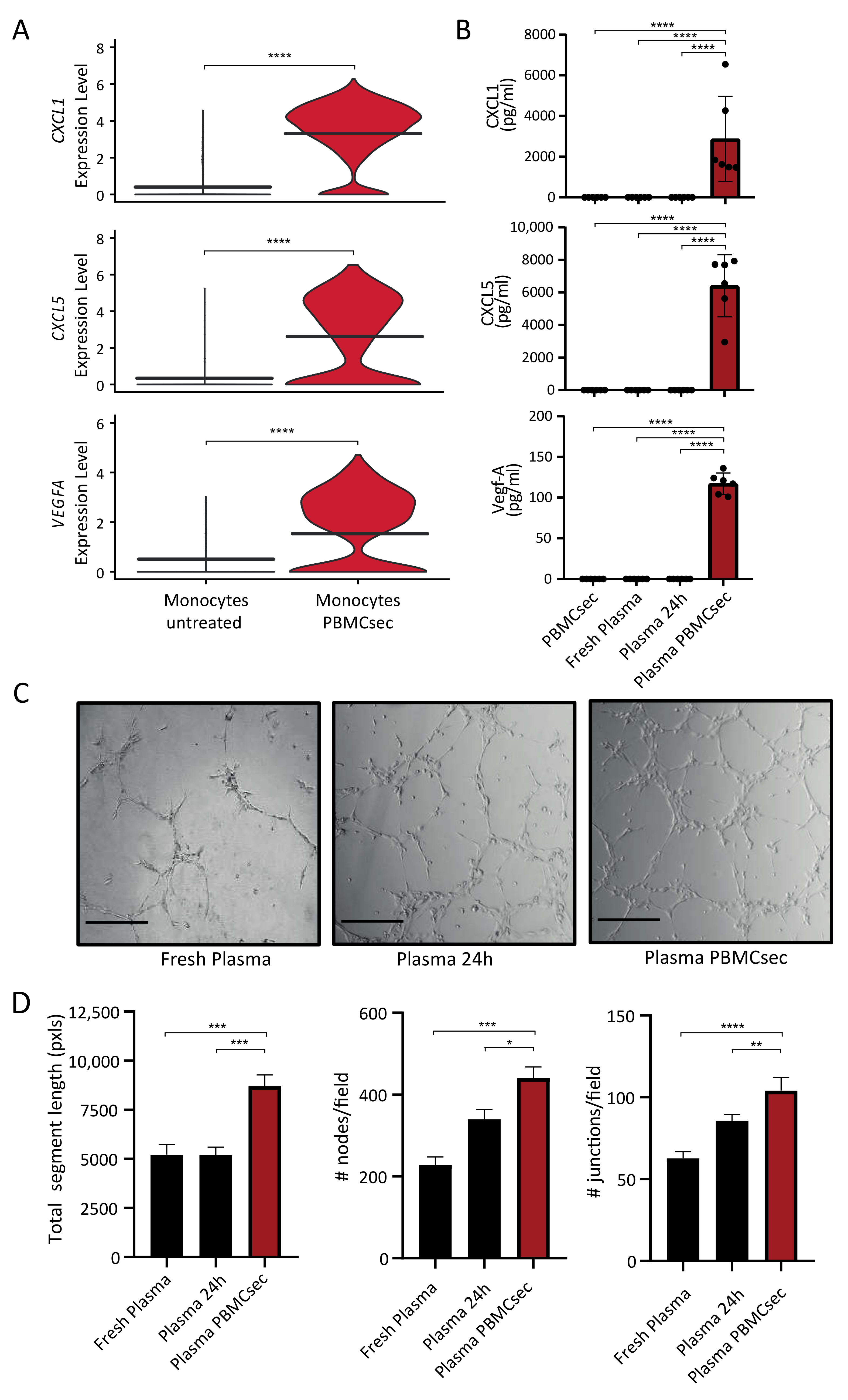Pharmaceutics 14 01600 g004