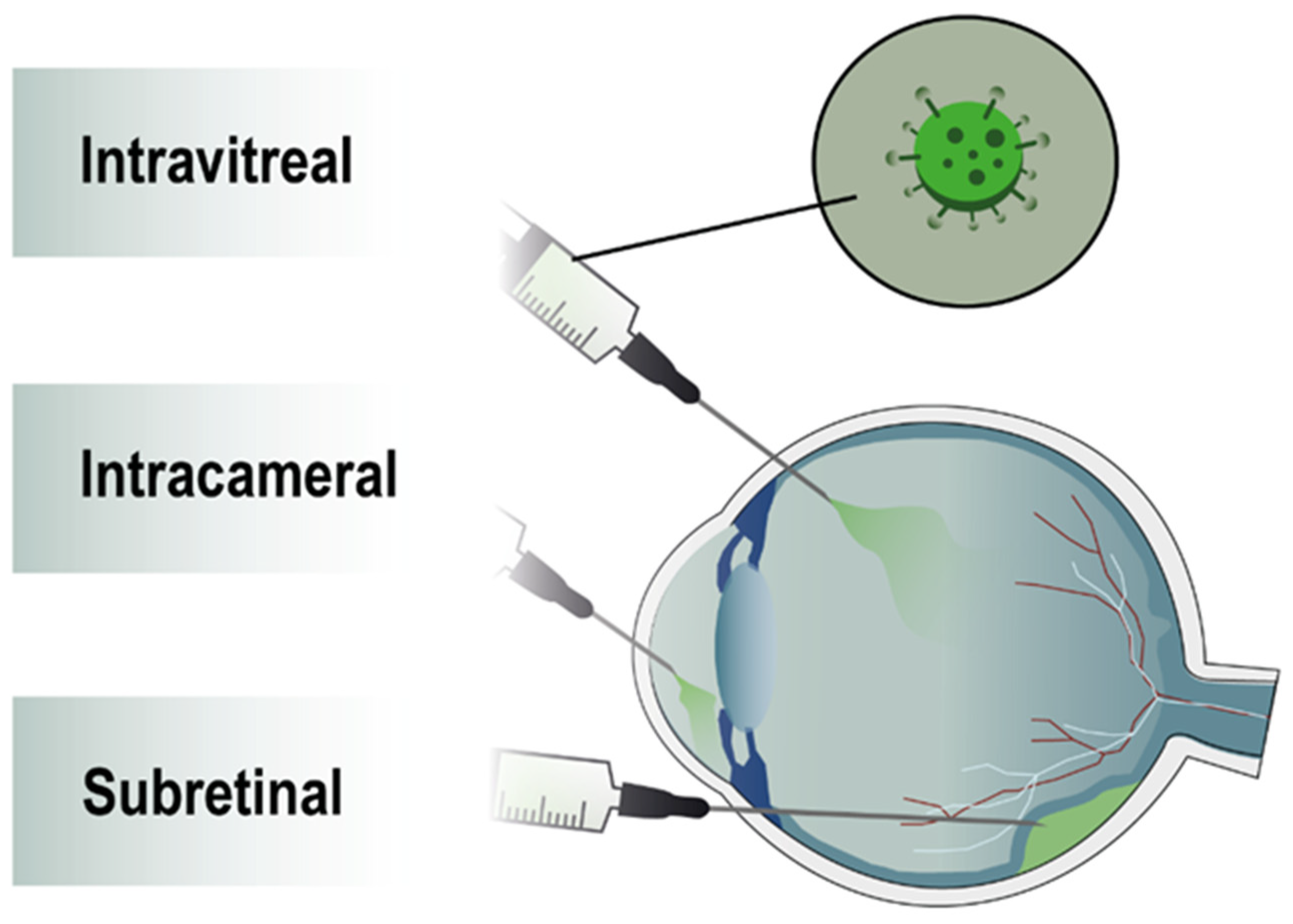 Pharmaceutics 14 01605 g003