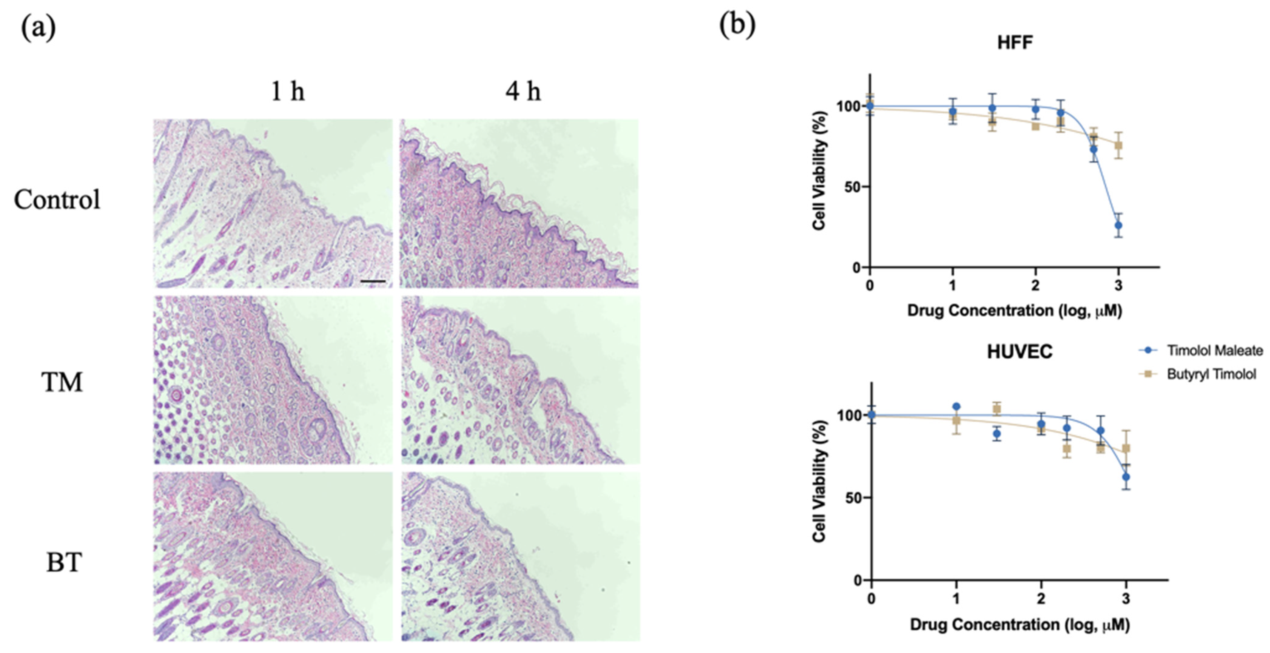 Pharmaceutics 14 01607 g002