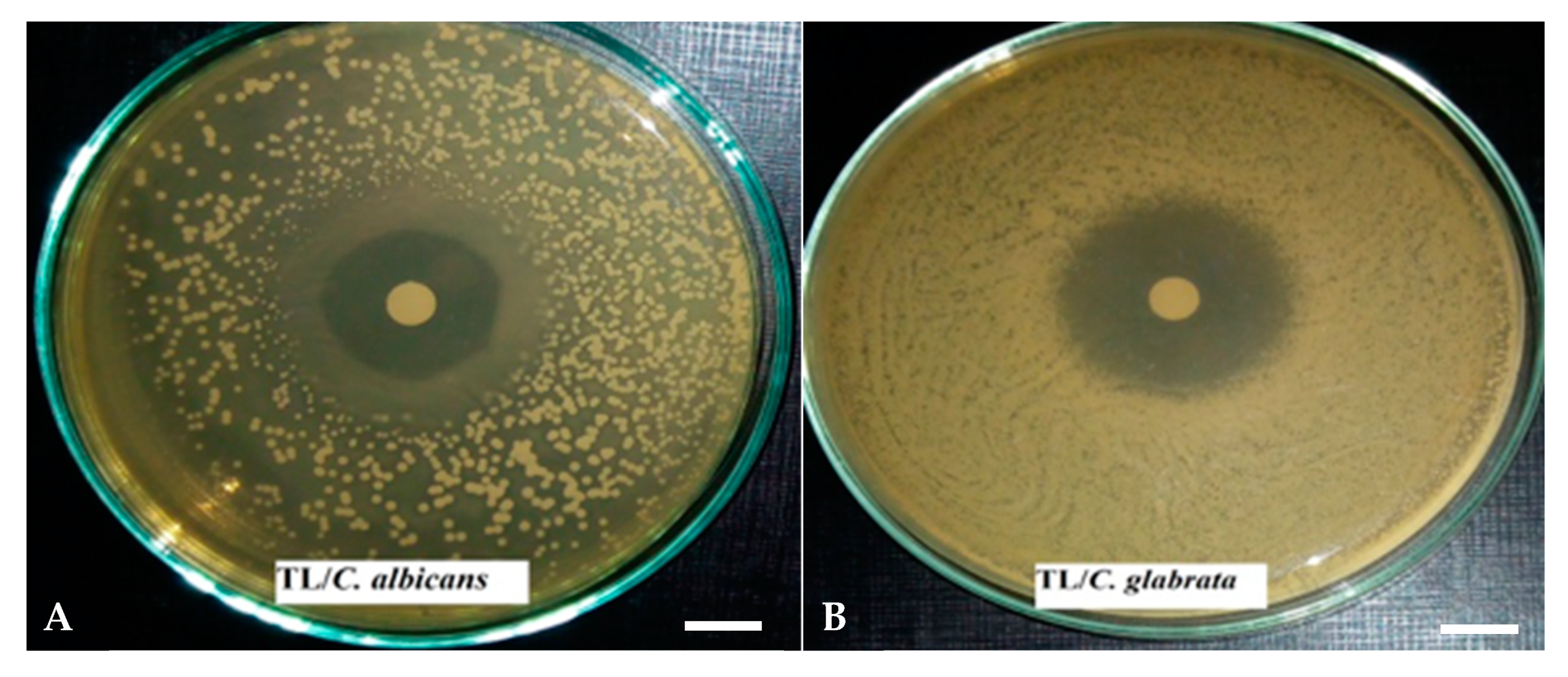 Pharmaceutics | Free Full-Text | Chemical Composition and Antimicrobial  Activity of Essential Oils from Three Mediterranean Plants against Eighteen  Pathogenic Bacteria and Fungi | HTML
