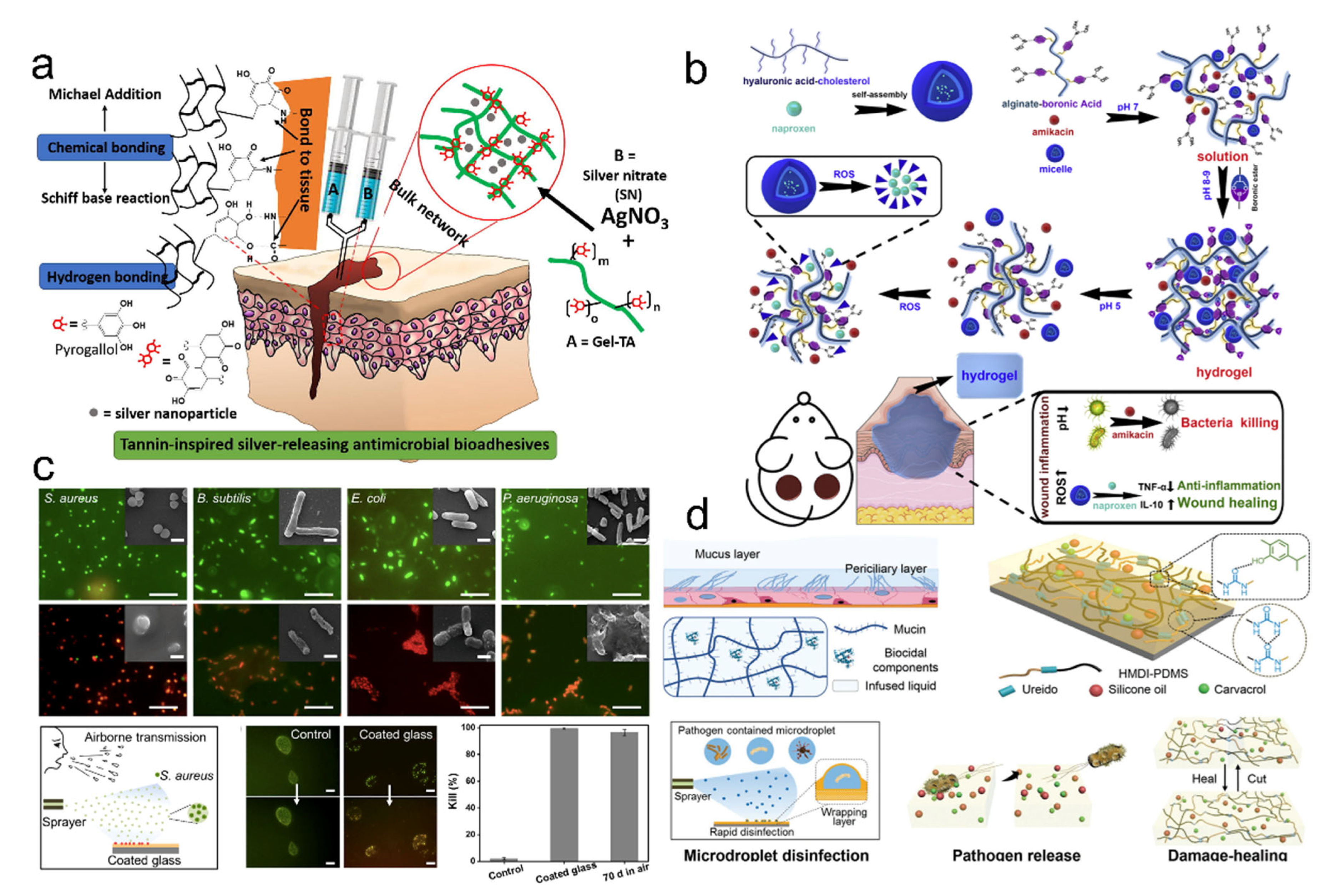 Pharmaceutics 14 01616 g002