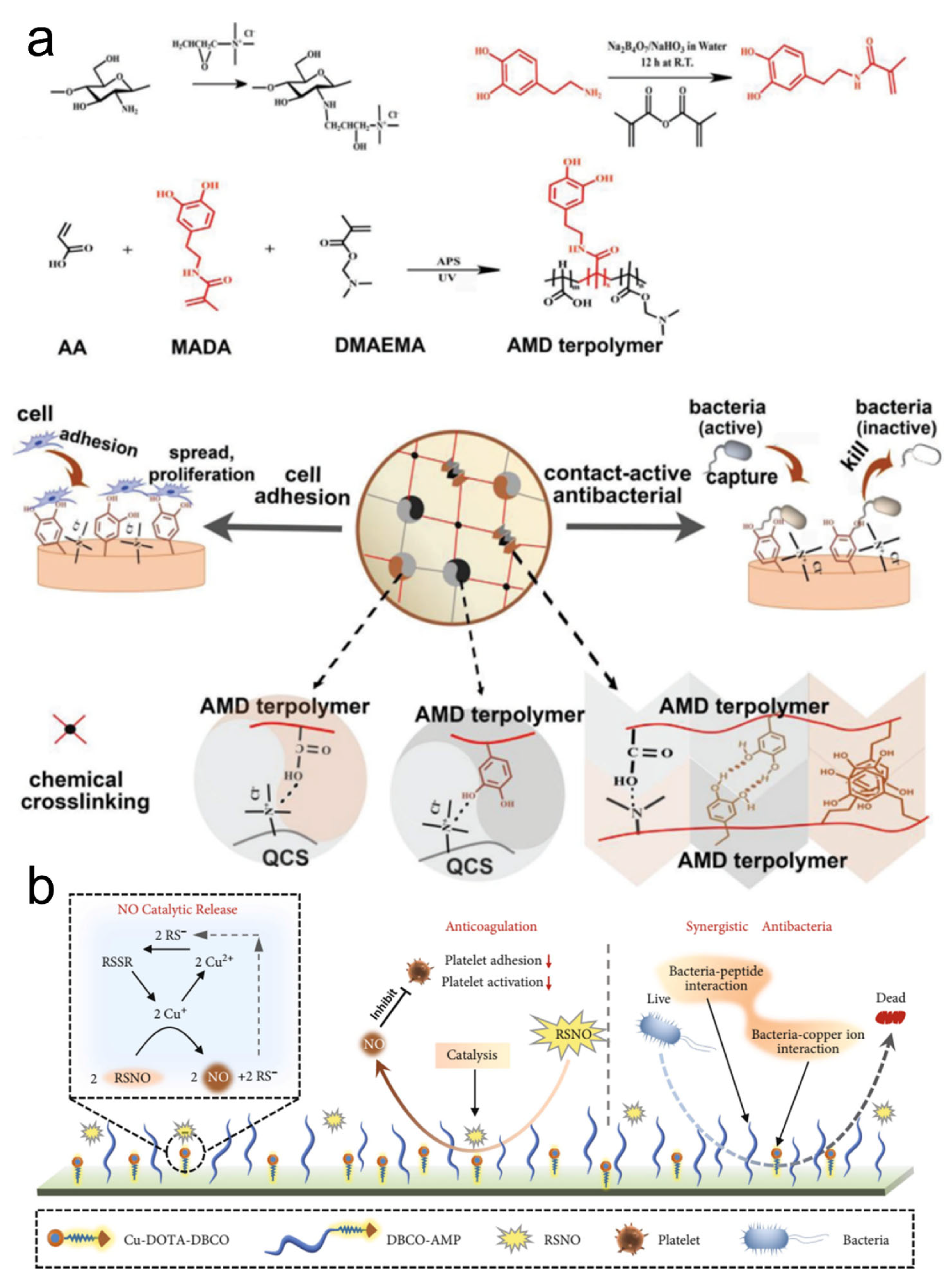 Pharmaceutics 14 01616 g003