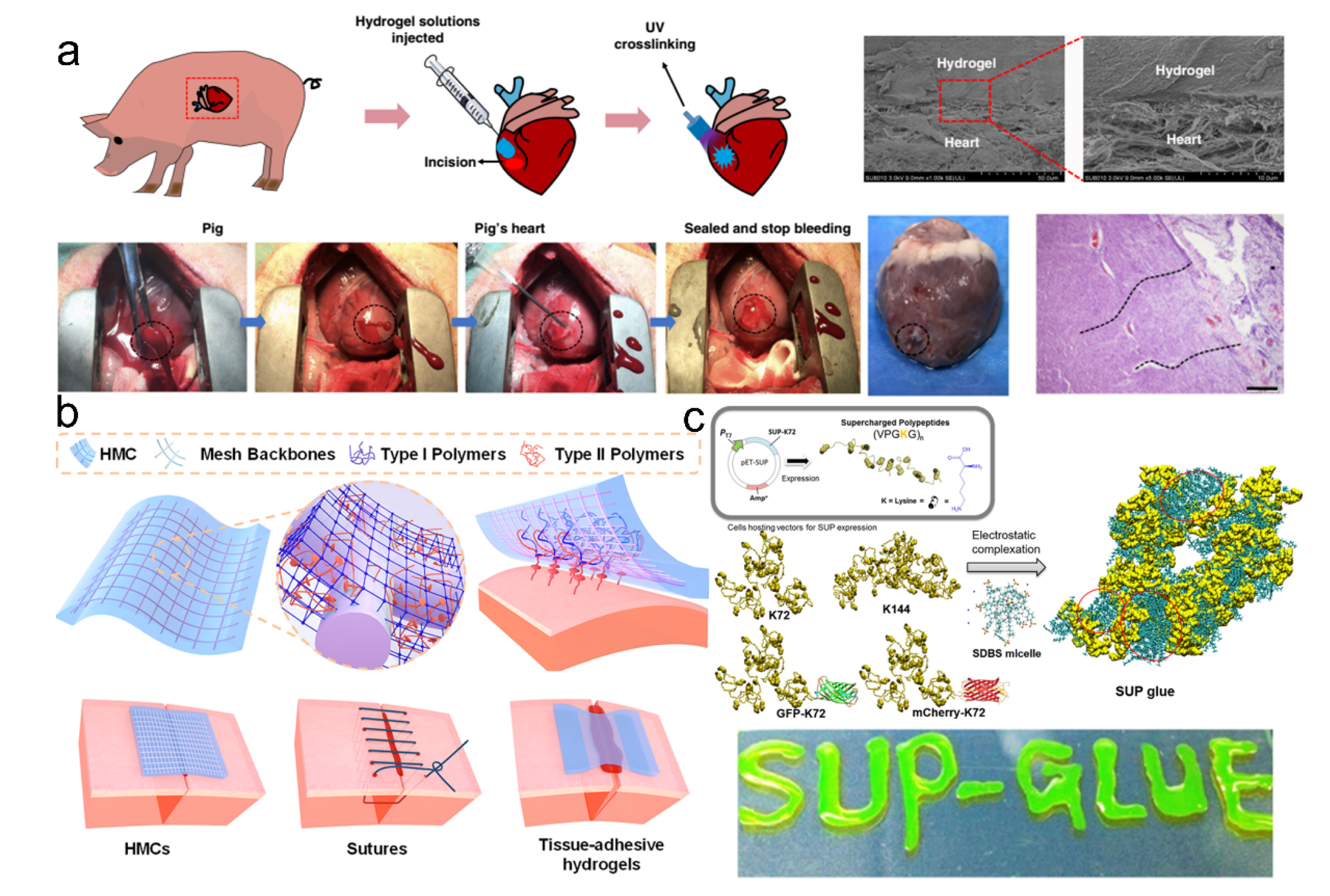 Pharmaceutics 14 01616 g005