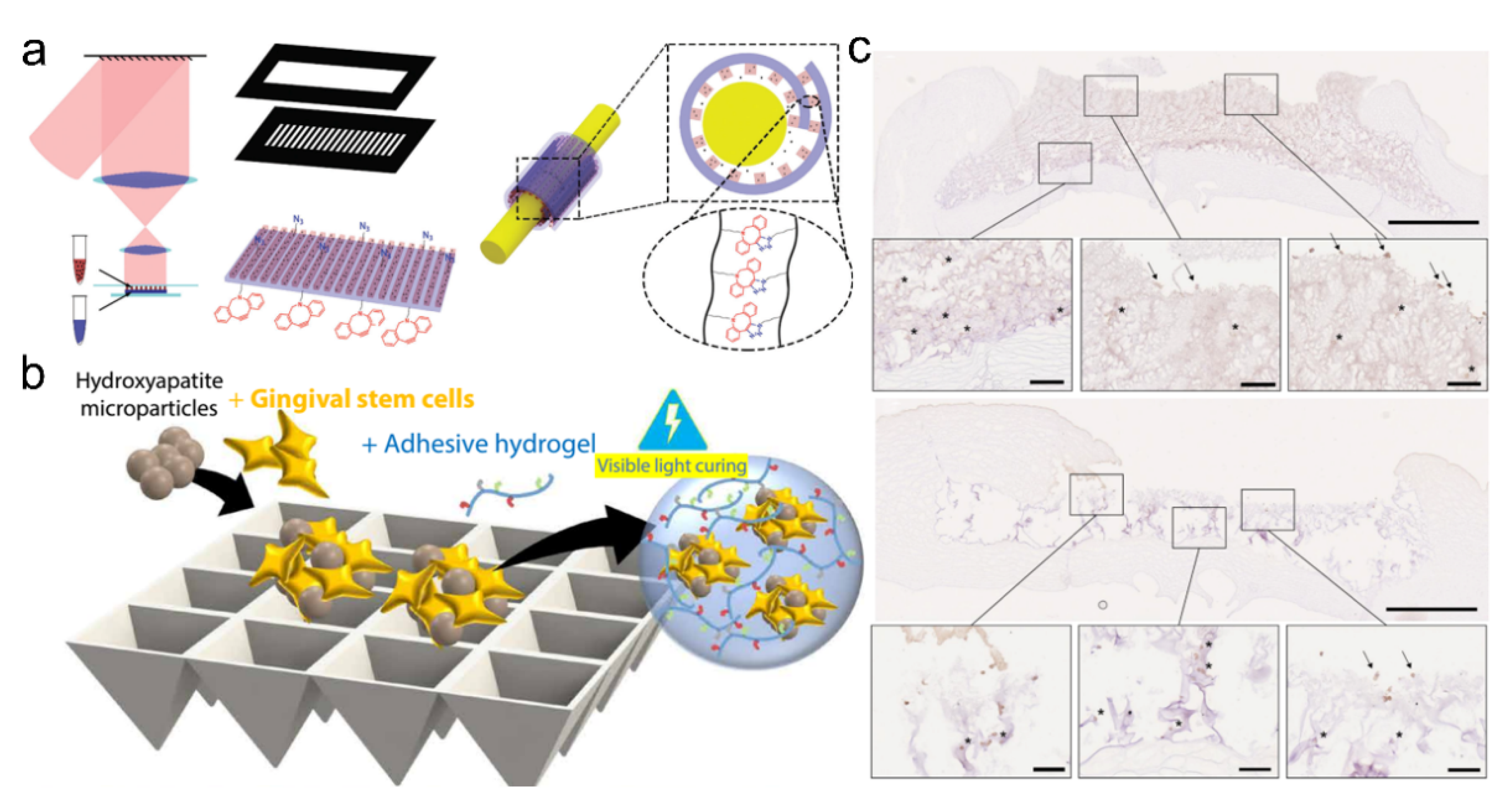 Pharmaceutics 14 01616 g008
