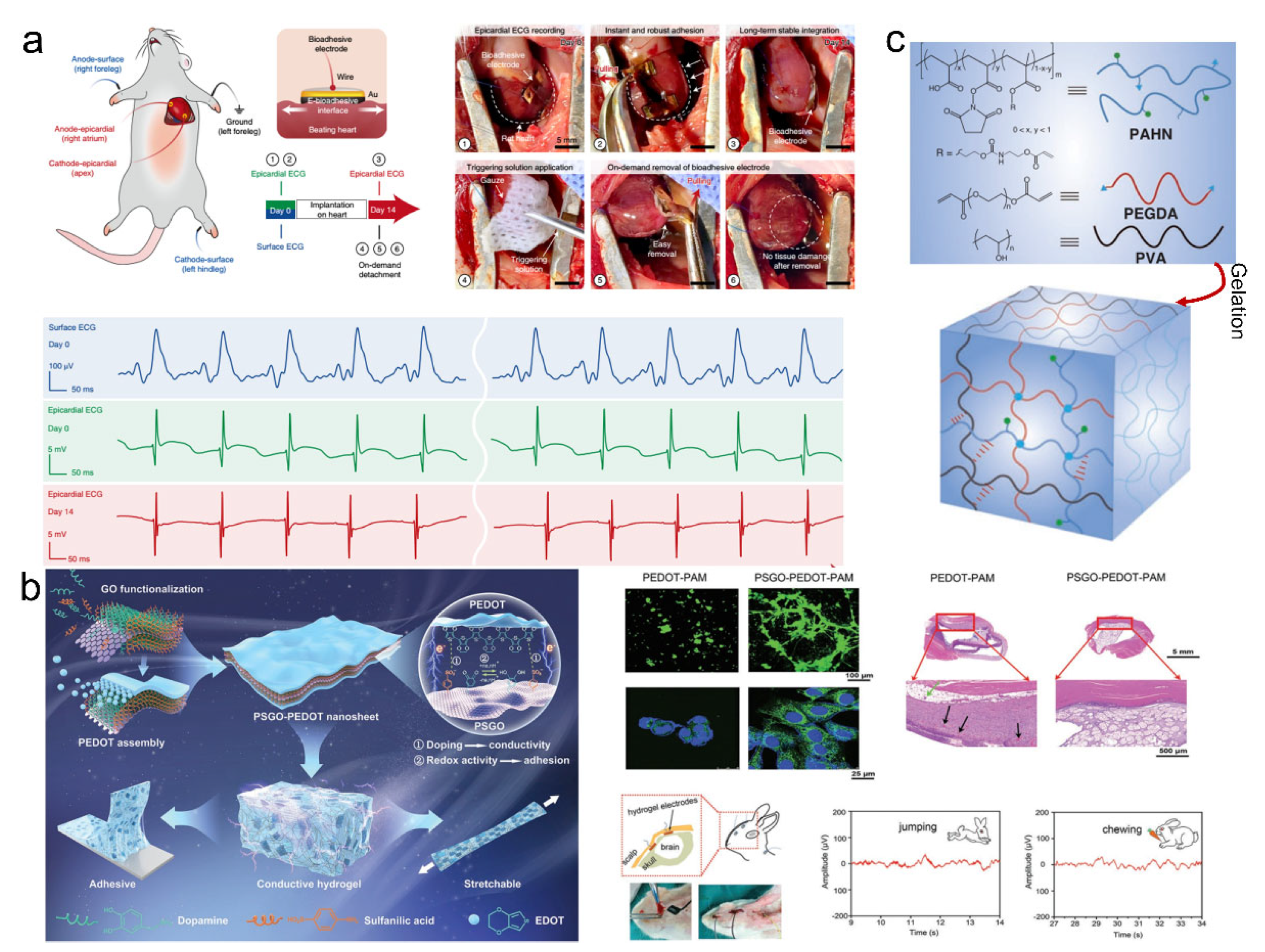 Pharmaceutics 14 01616 g010