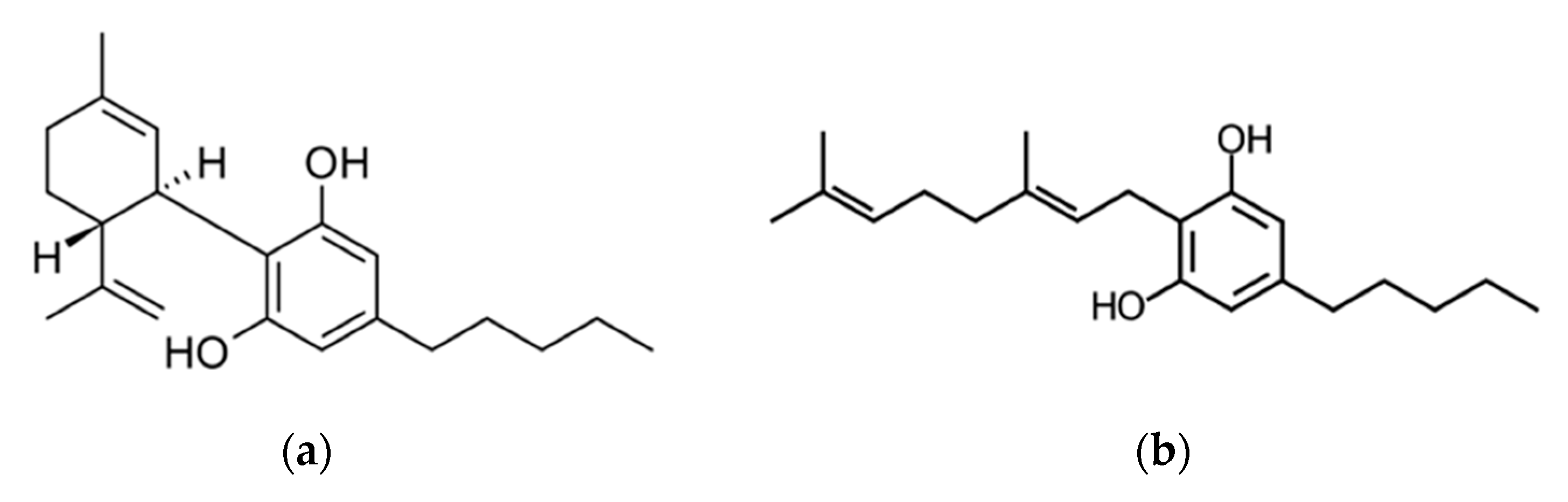 Pharmaceutics 14 01637 g001
