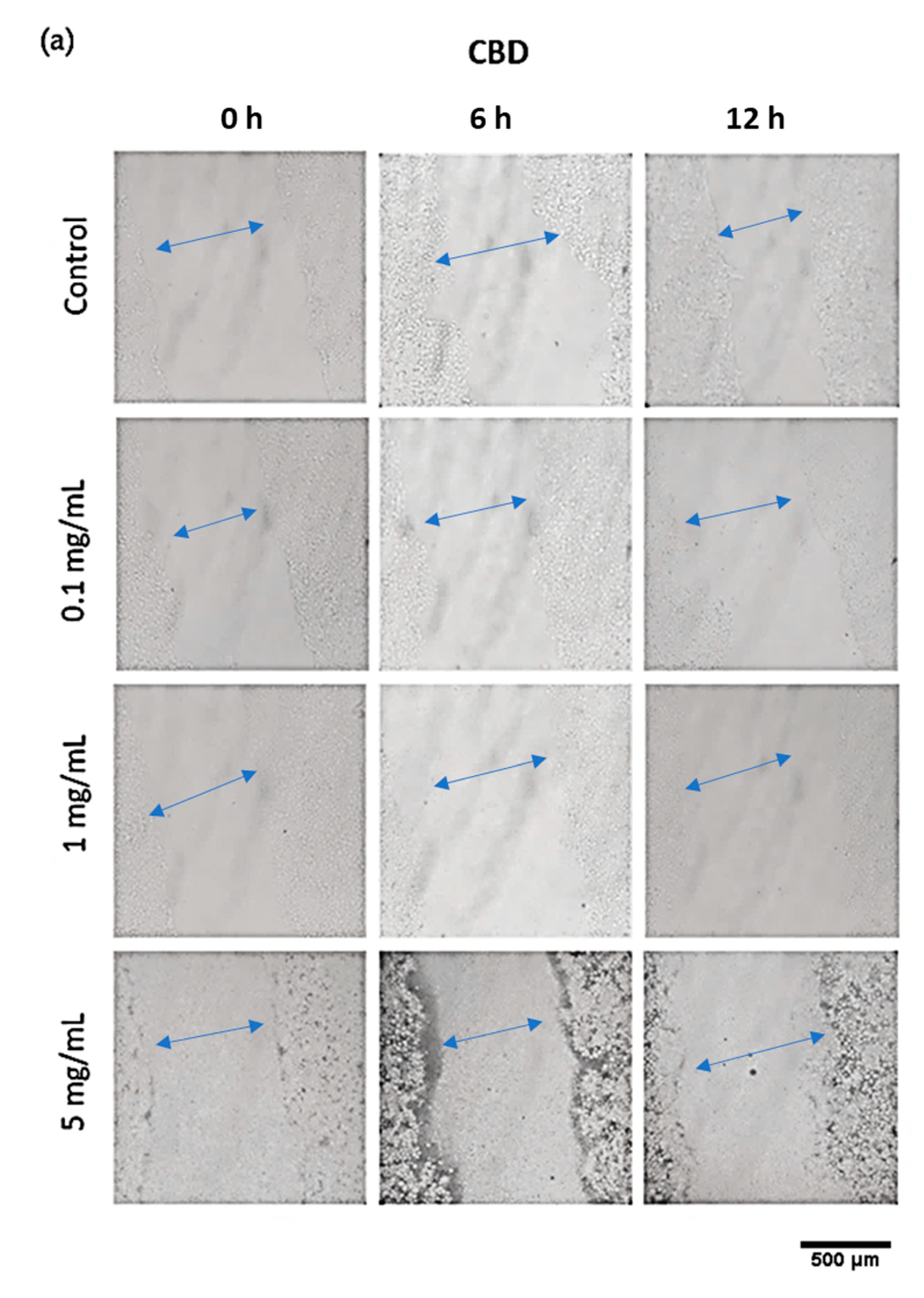 Pharmaceutics 14 01637 g012a