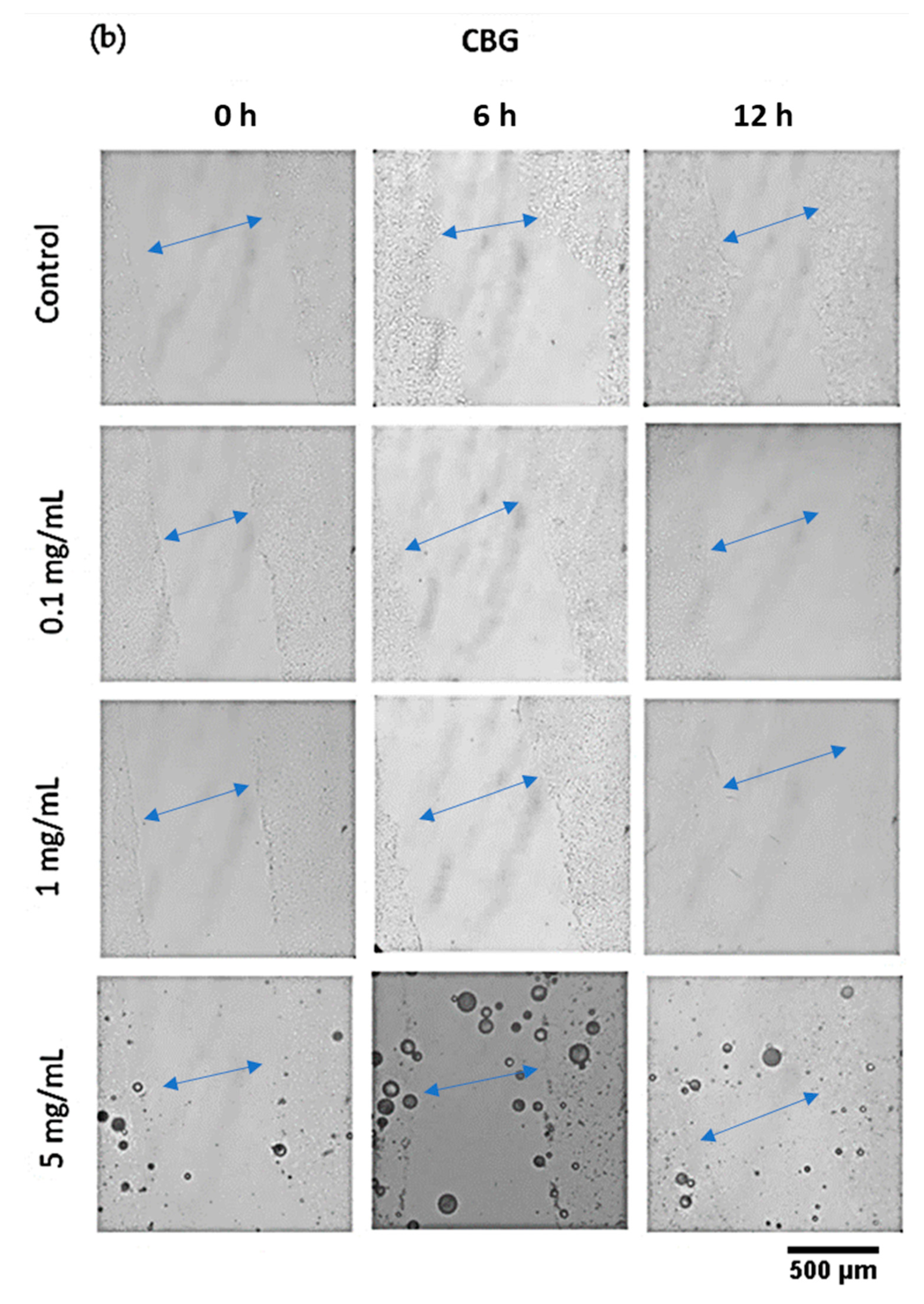 Pharmaceutics 14 01637 g012b