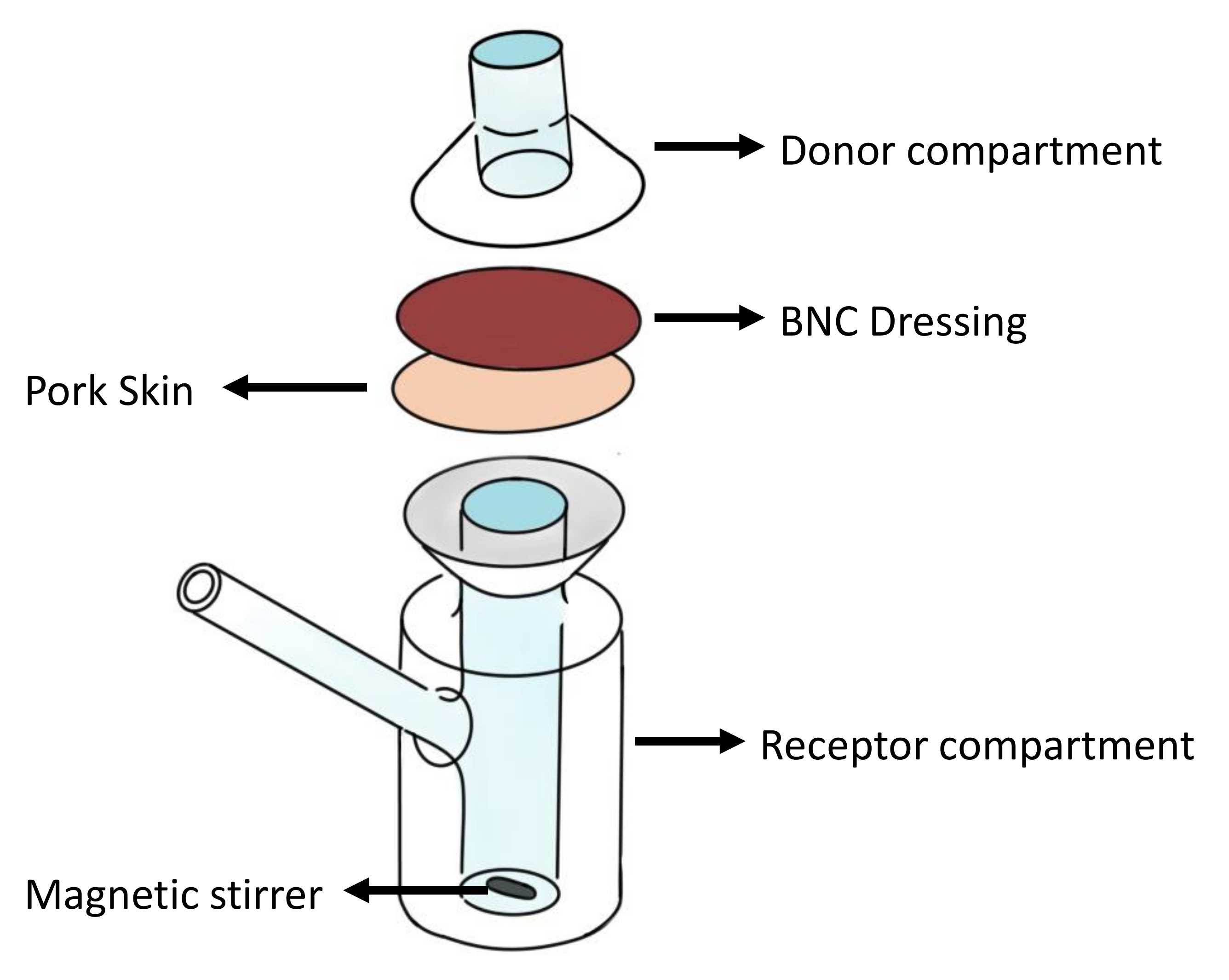 Pharmaceutics 14 01661 g001