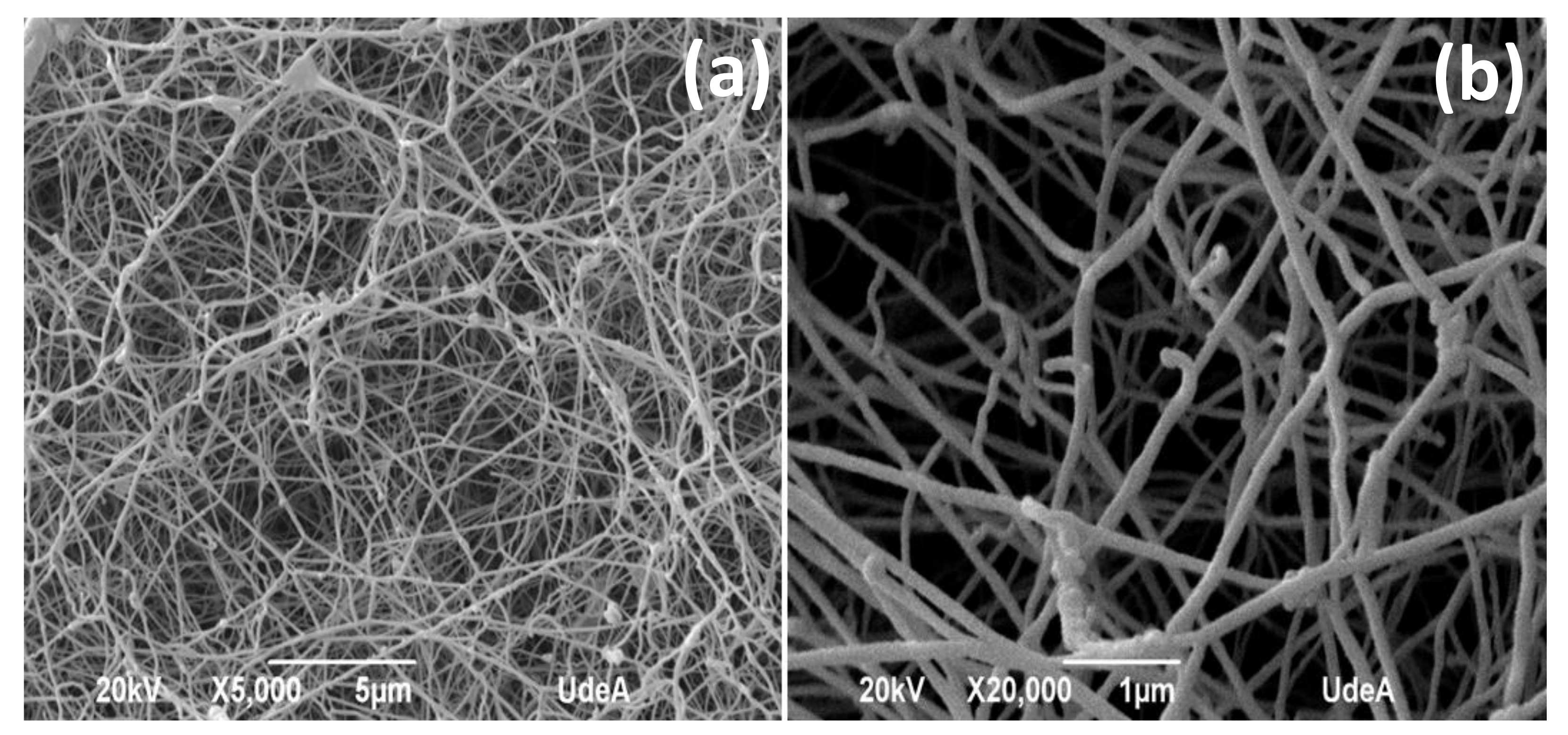 Pharmaceutics 14 01661 g003
