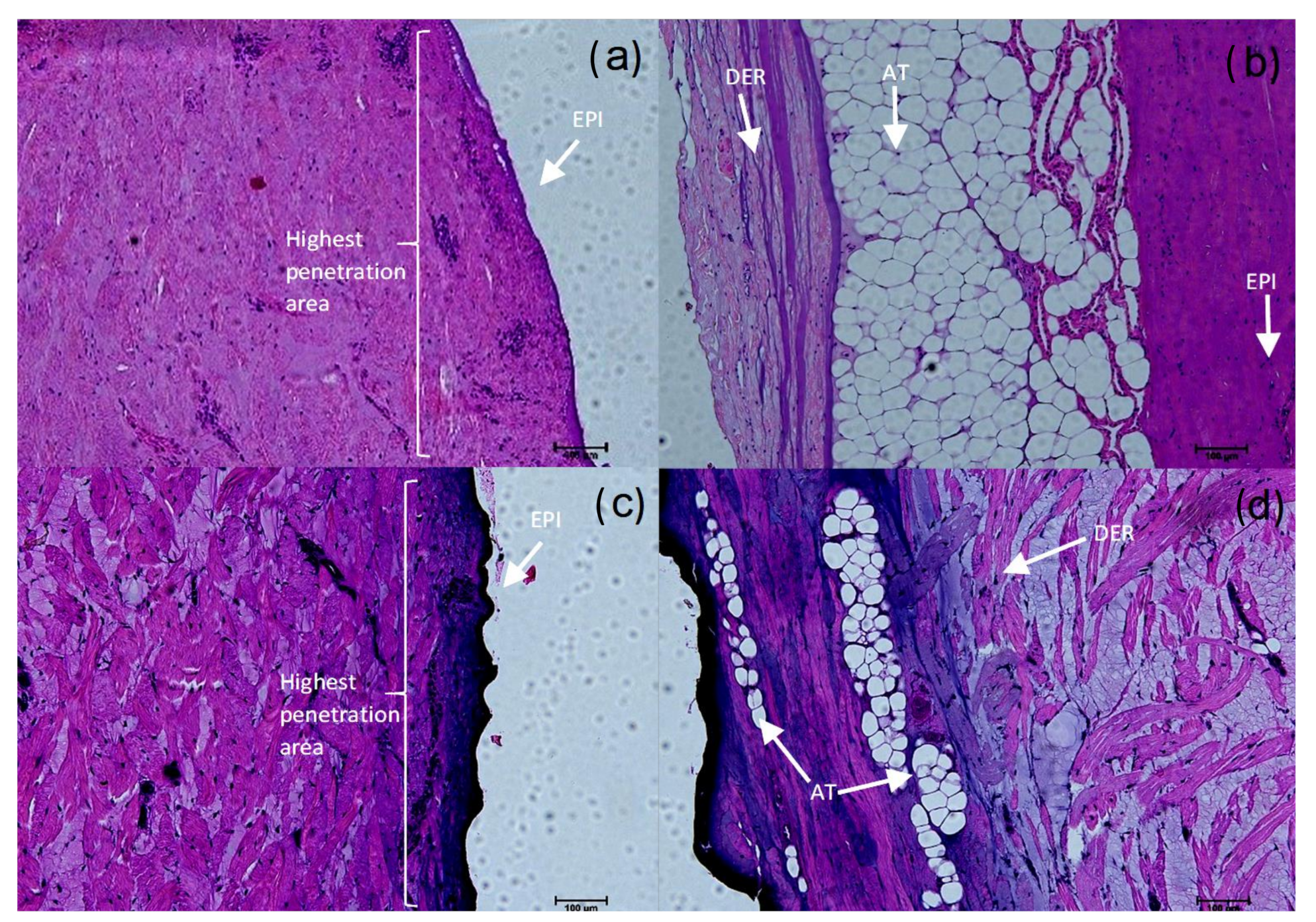 Pharmaceutics 14 01661 g007
